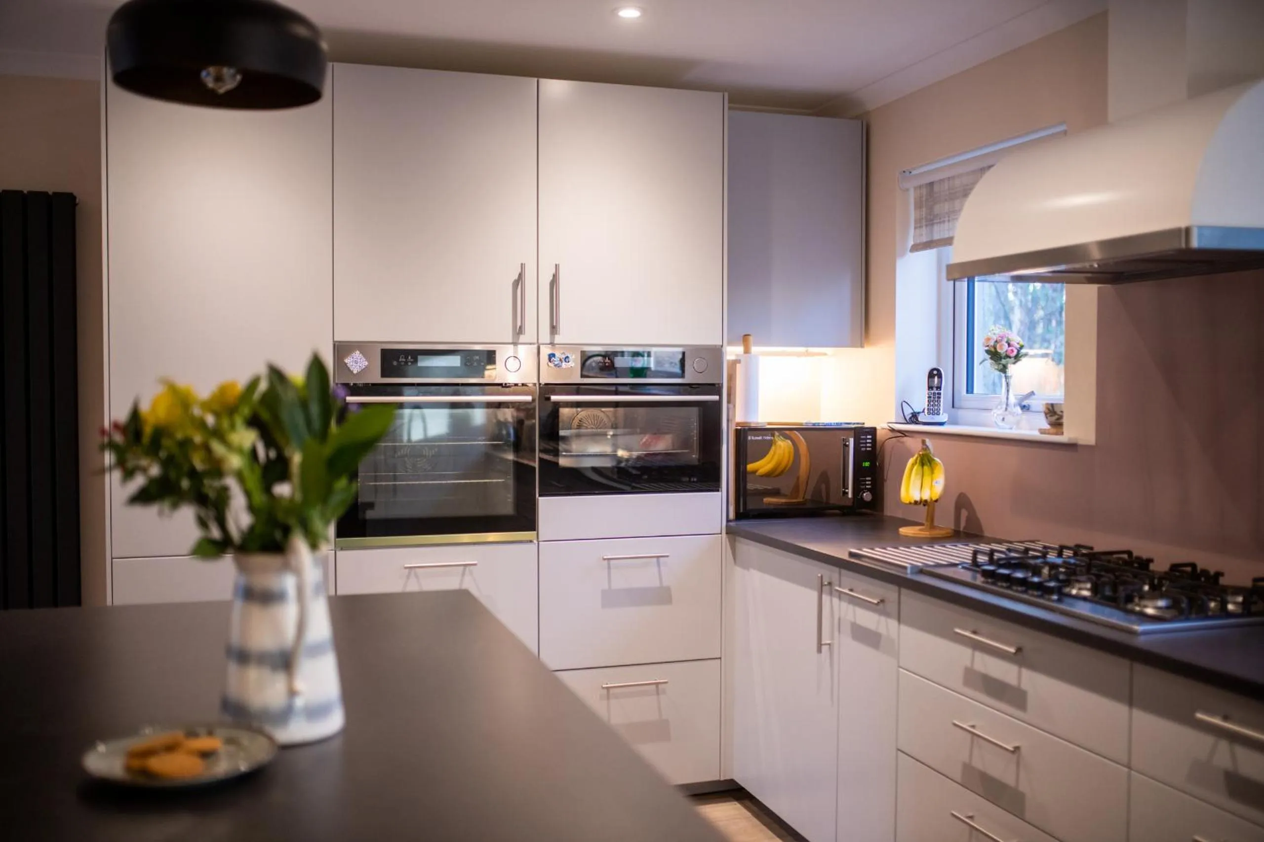 Kitchen or kitchenette in Silverbridge Lodge