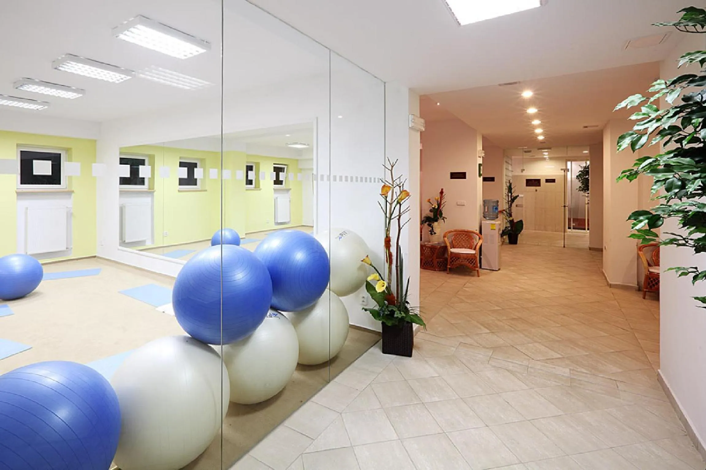Spa and wellness centre/facilities in Penzion Hubert Františkovy Lázně