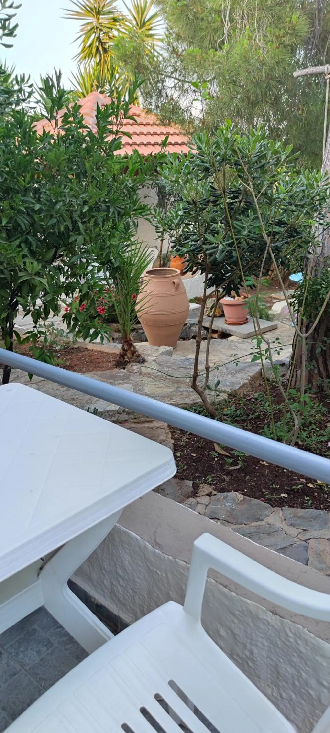 Garden view in Hotel Eliza