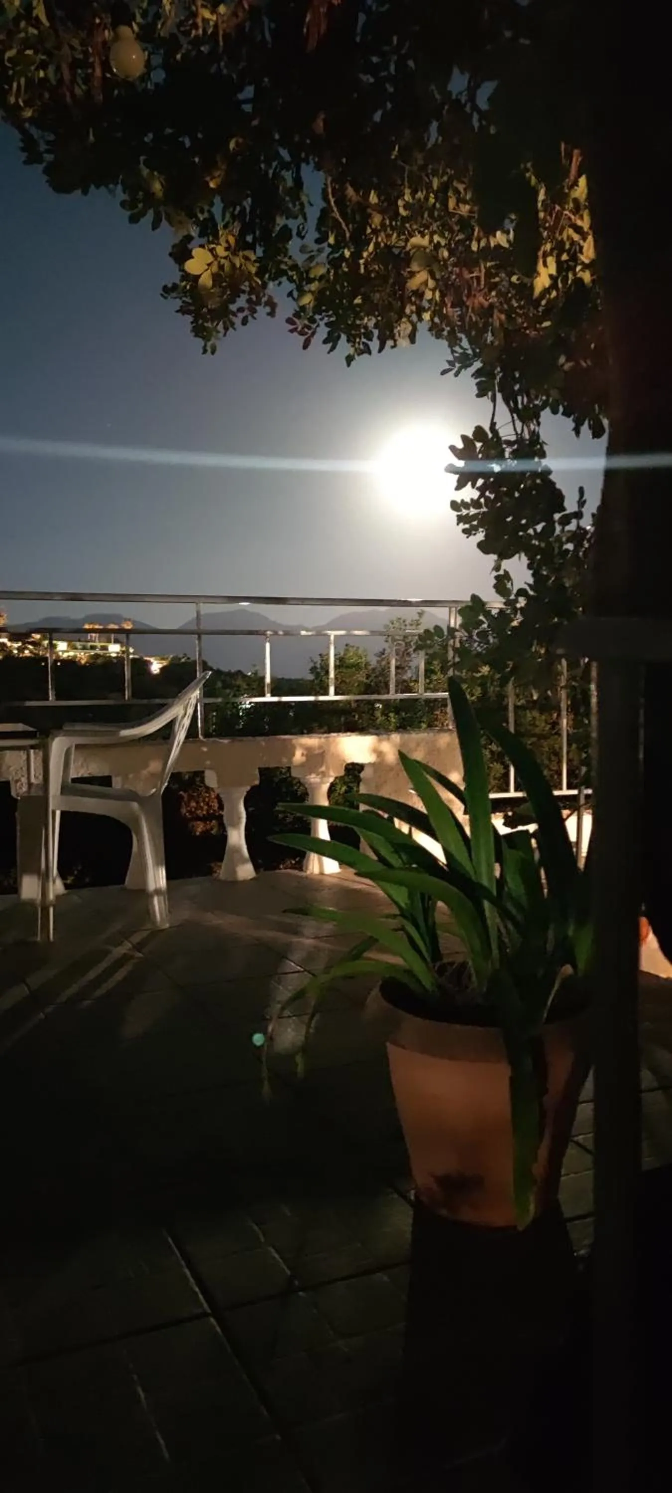 Night in Hotel Eliza