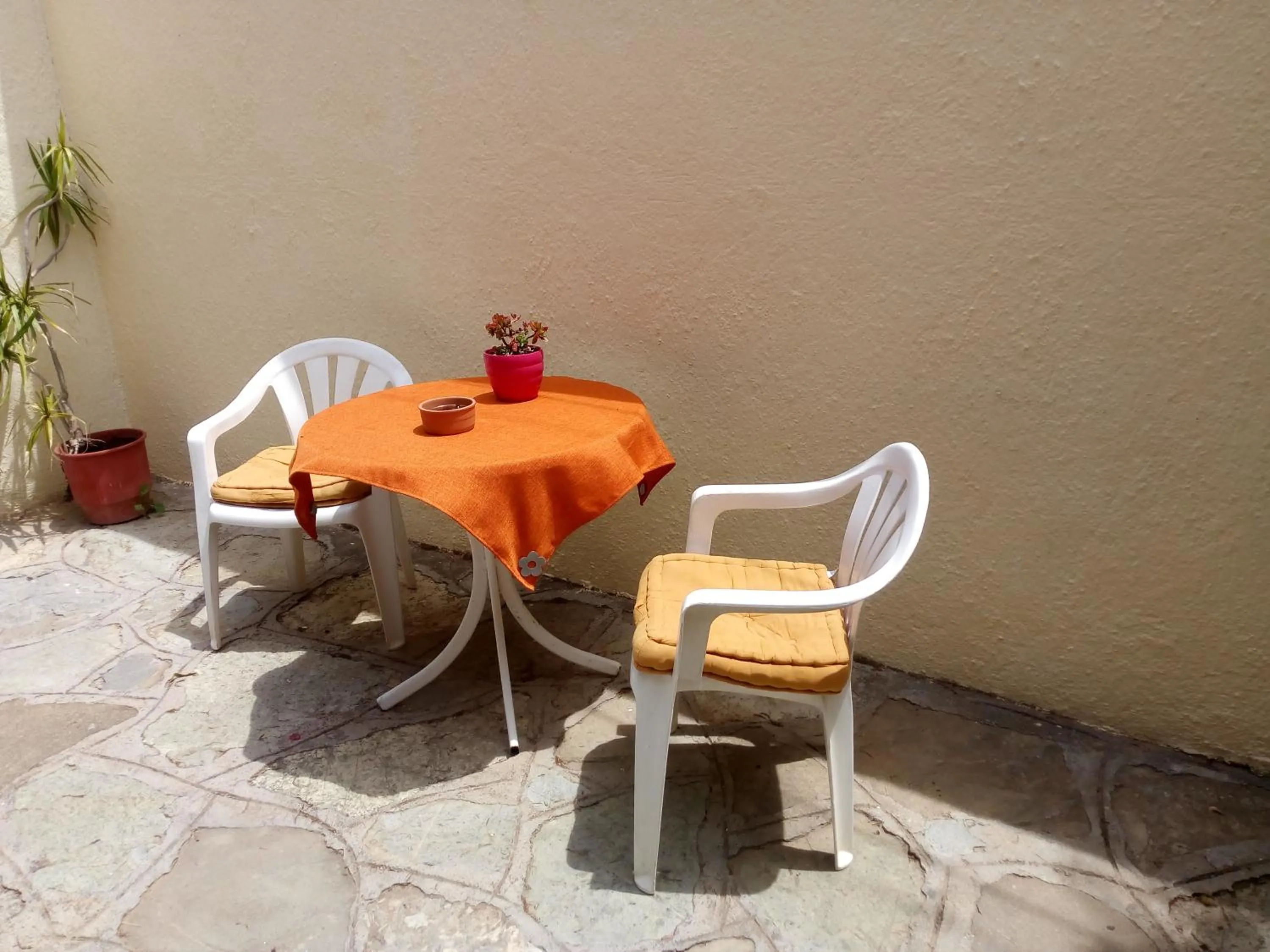 Patio in Hotel Eliza