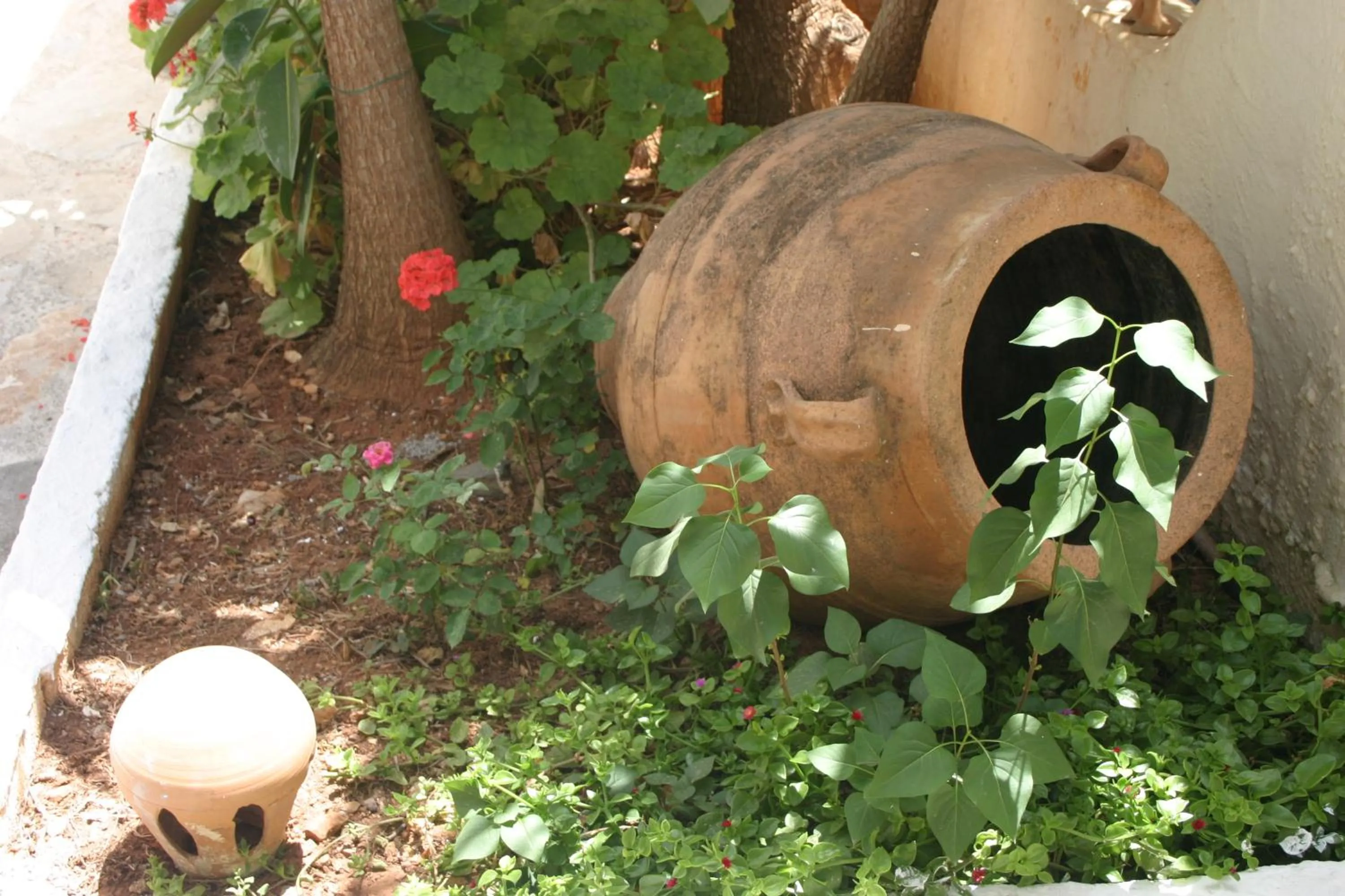 Other in Hotel Eliza