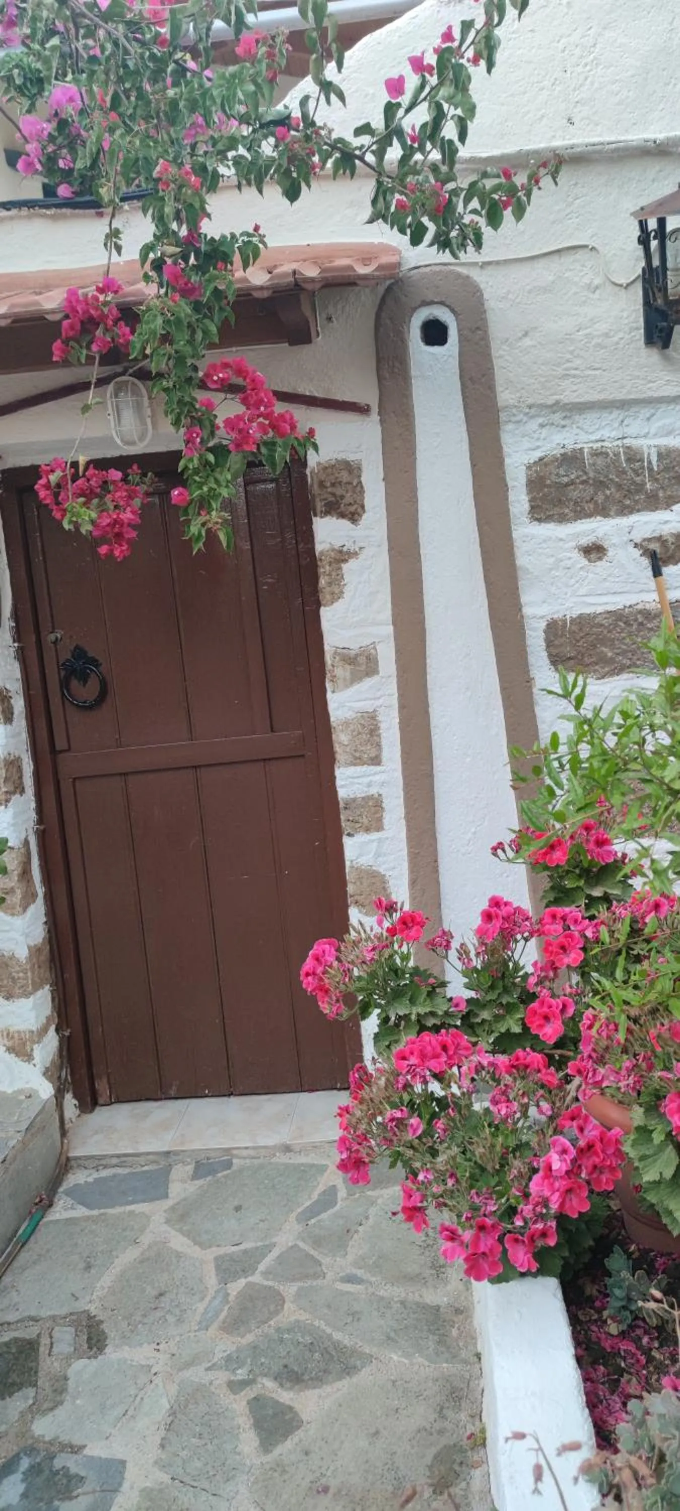 Garden in Hotel Eliza