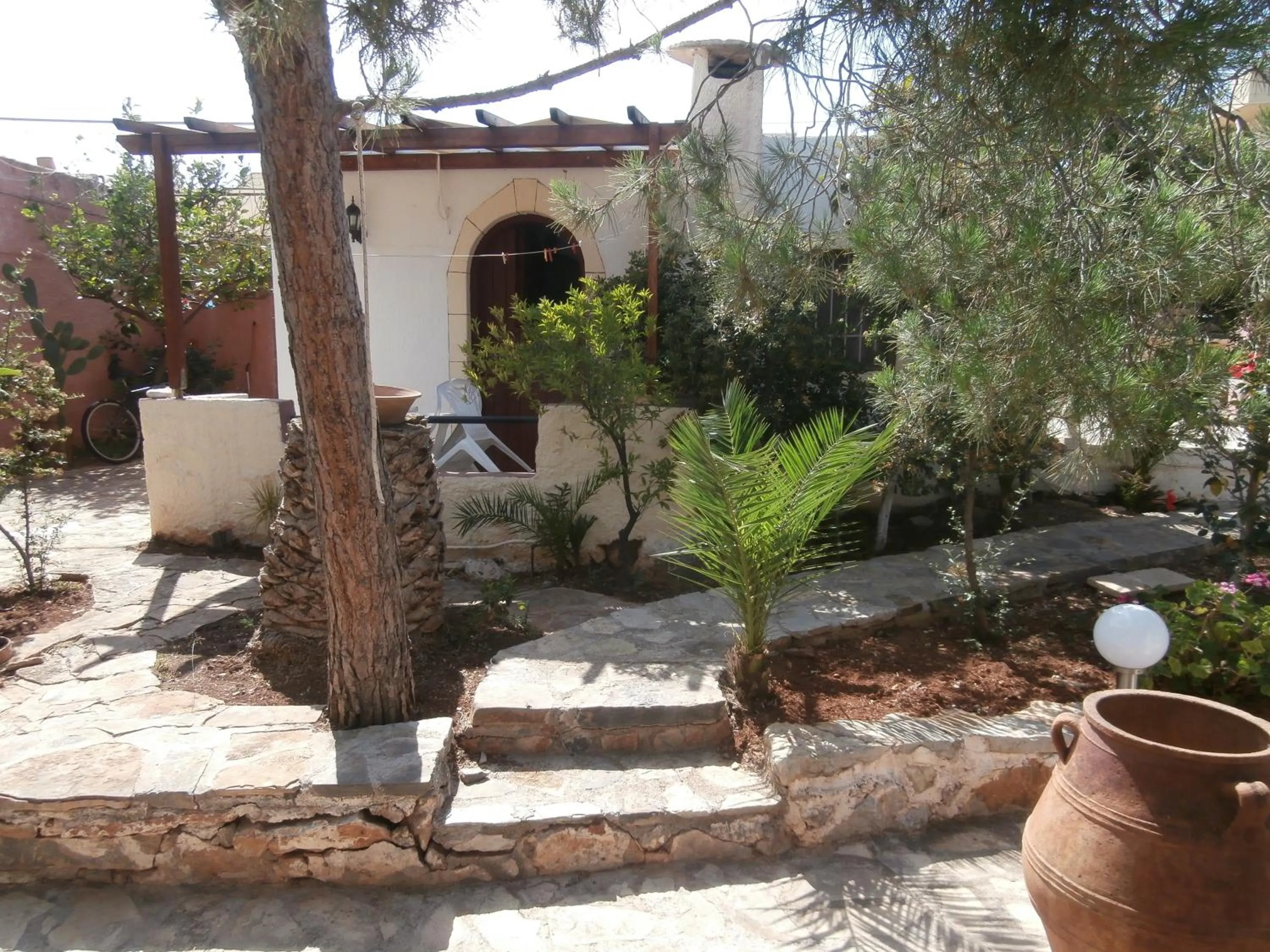 Garden in Hotel Eliza