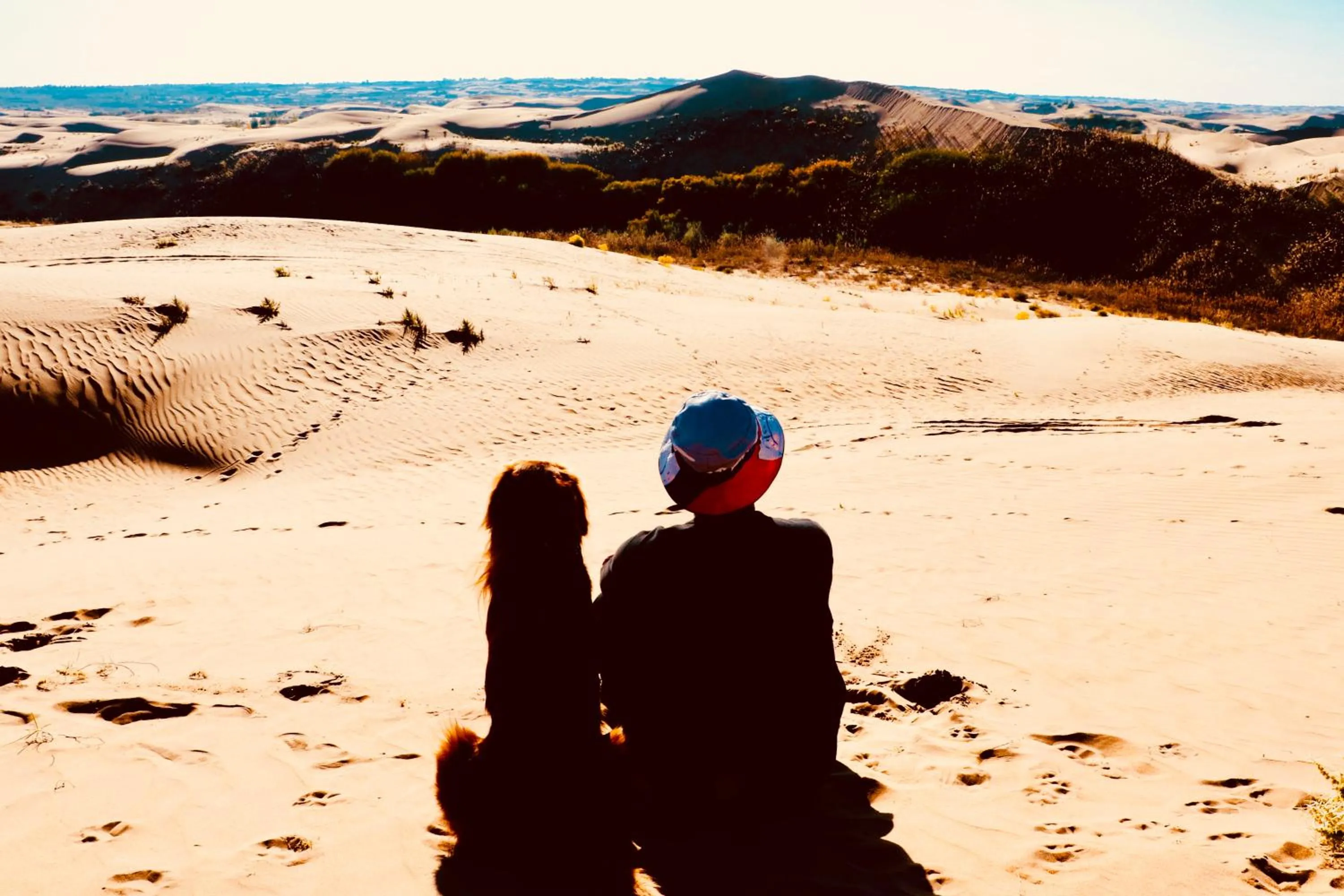 Natural landscape in Lantern Hotel