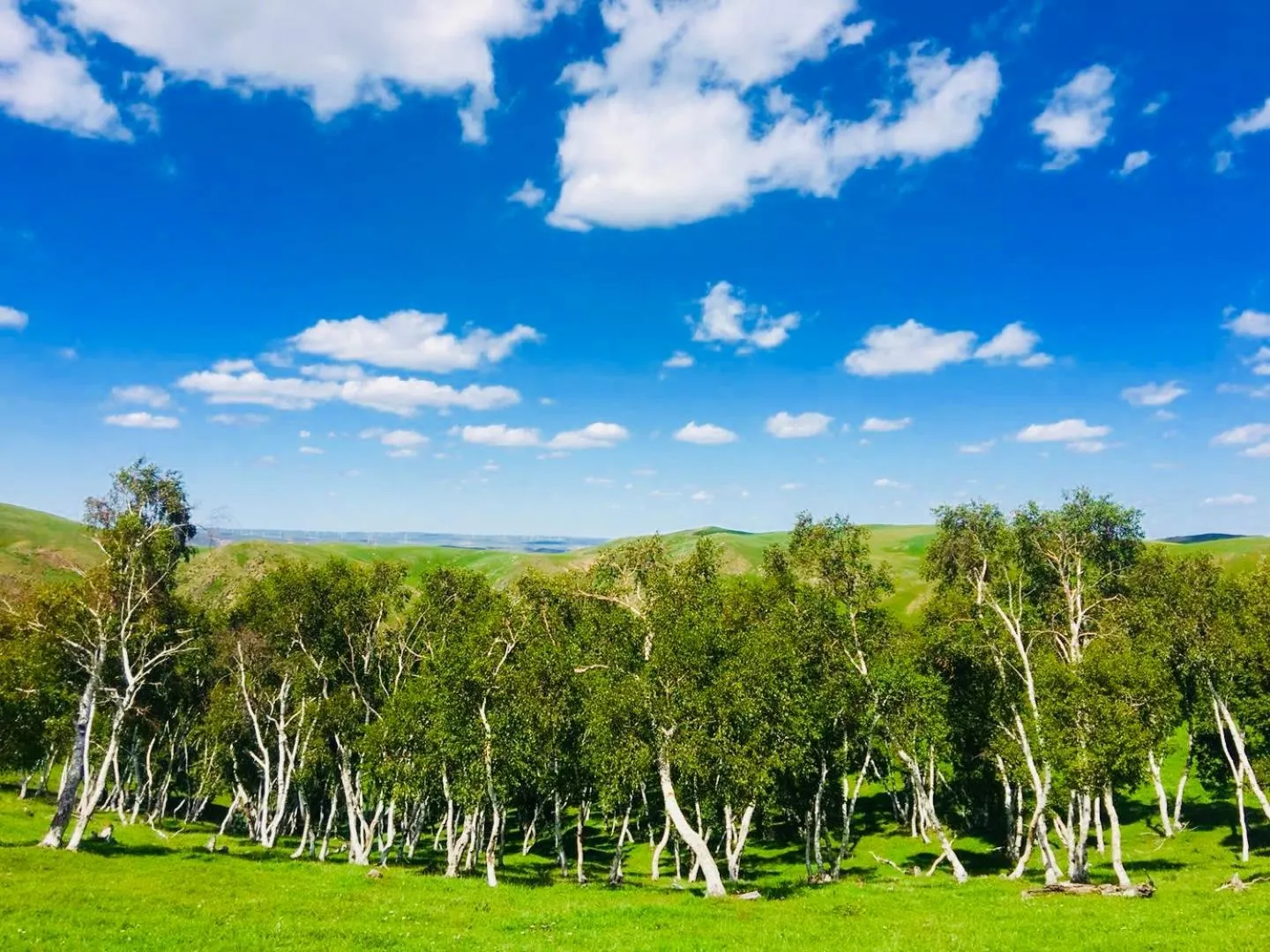 Natural landscape in Lantern Hotel