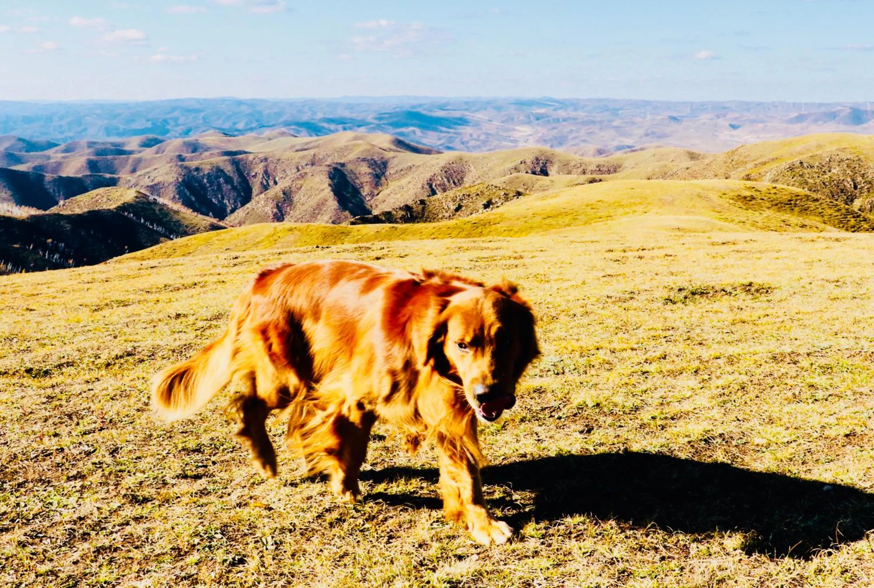 Natural landscape in Lantern Hotel