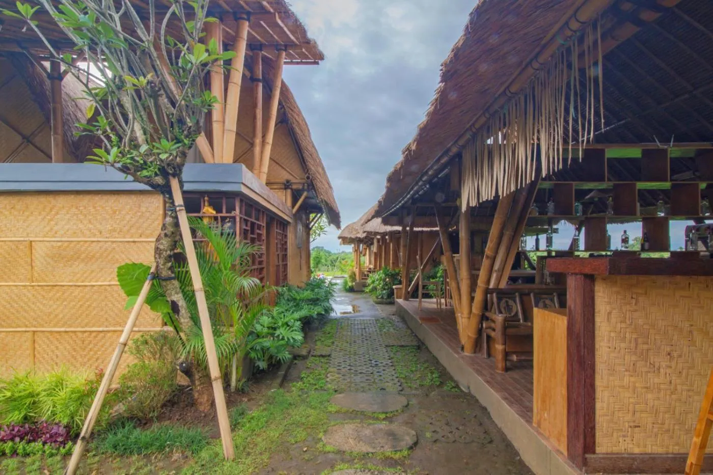 Restaurant/places to eat in Moon Bamboo