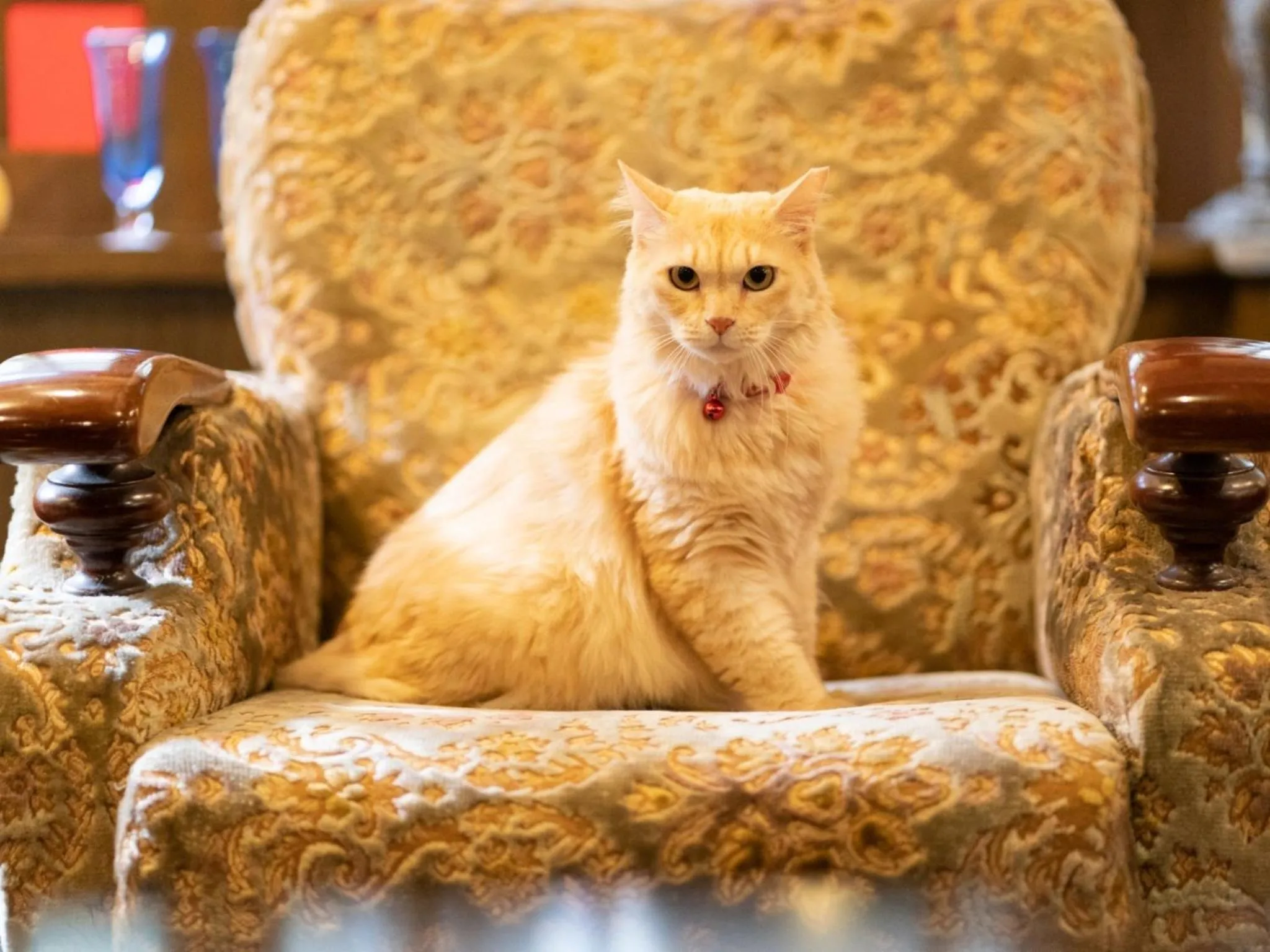 Staff in Kannawa Yunoka