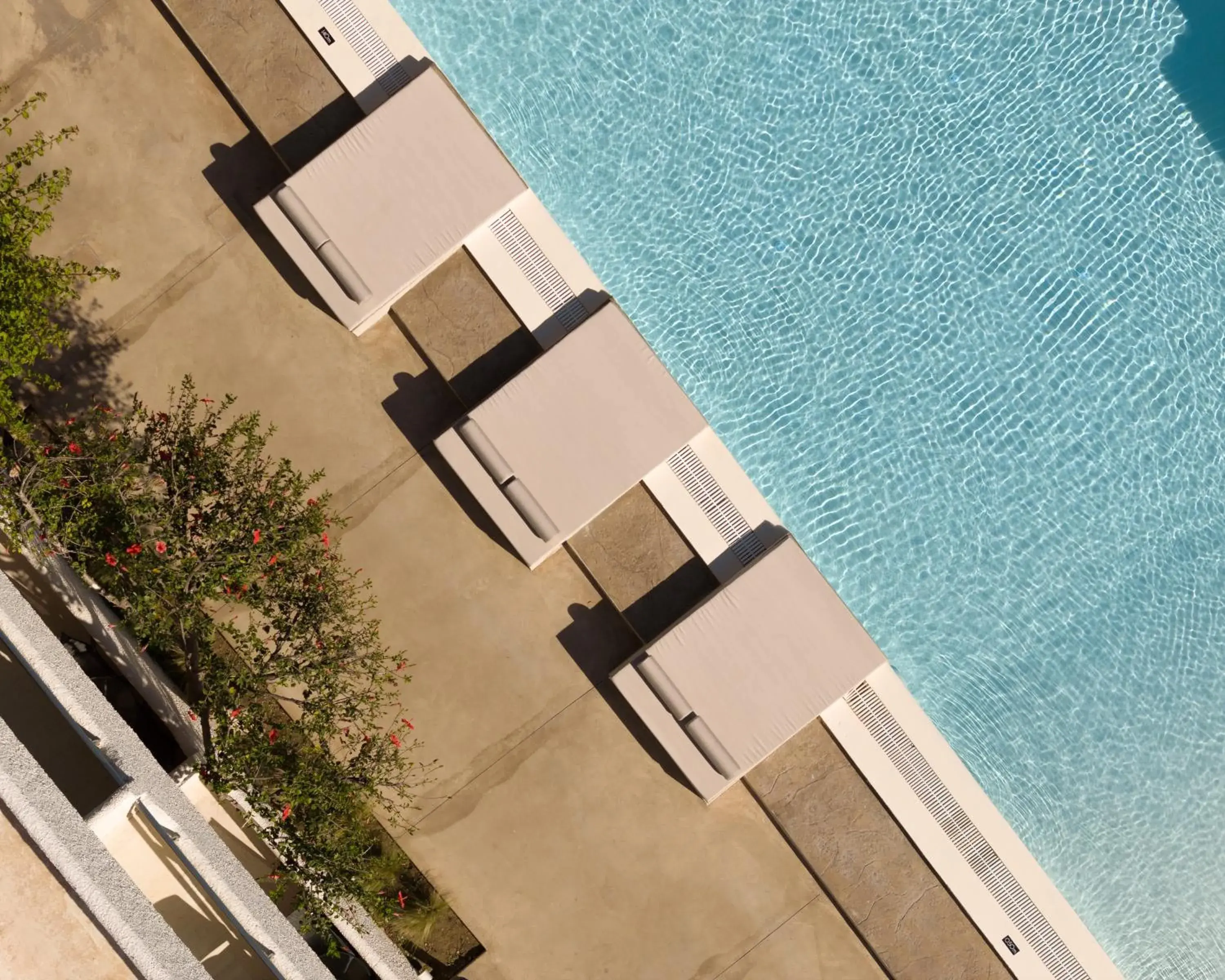 Apollo Plakias Apollo Plakias