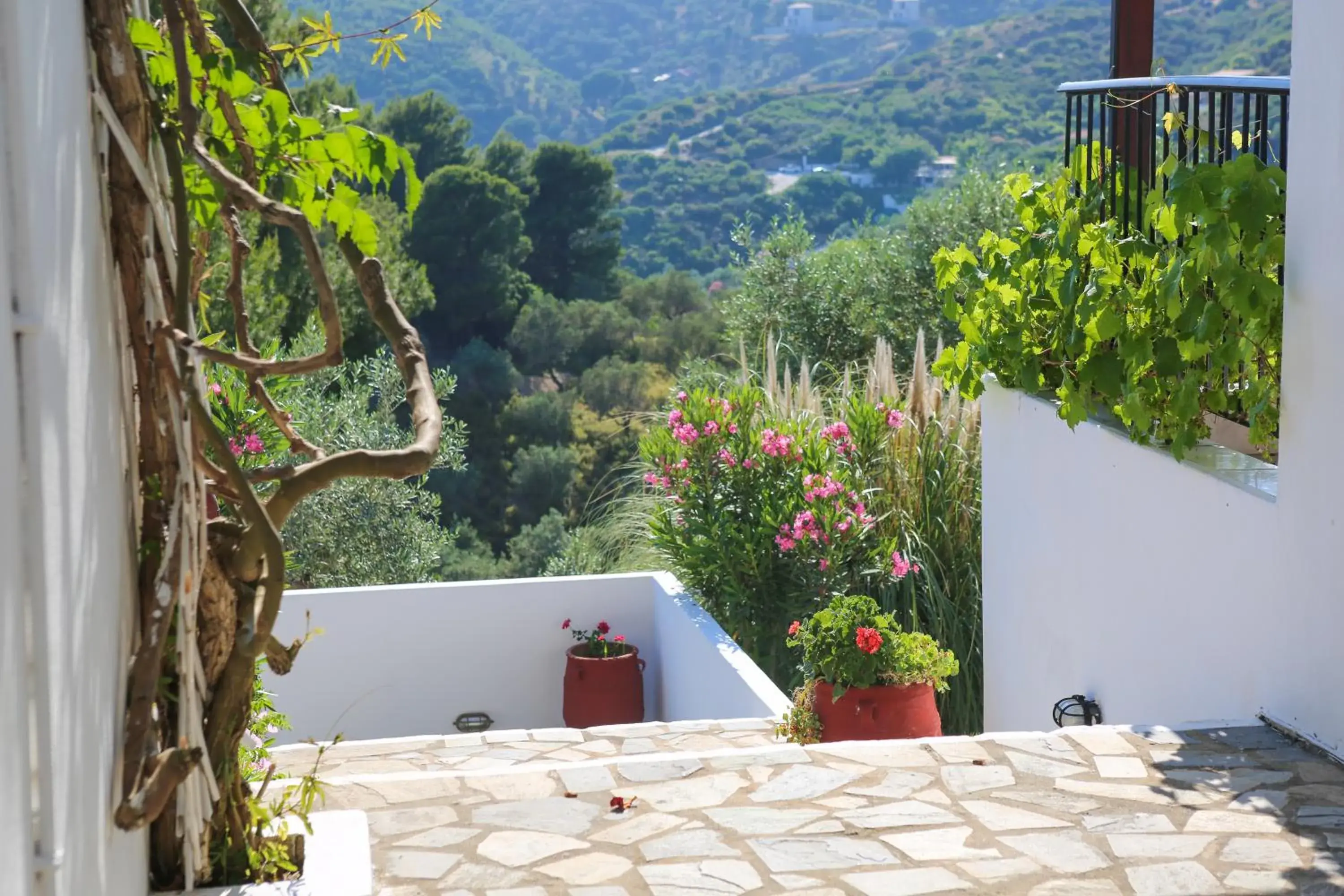 Property building in Angelina Studios Property building in Angelina Studios