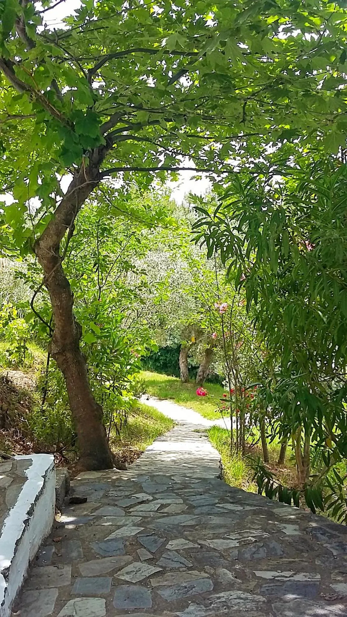 Garden in Angelina Studios