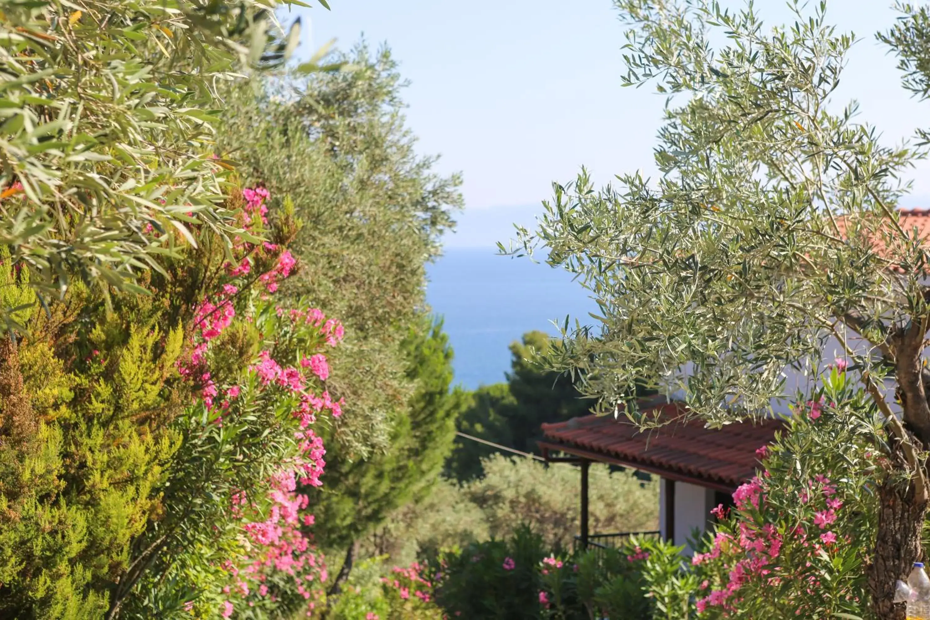 Sea view in Angelina Studios Sea view in Angelina Studios