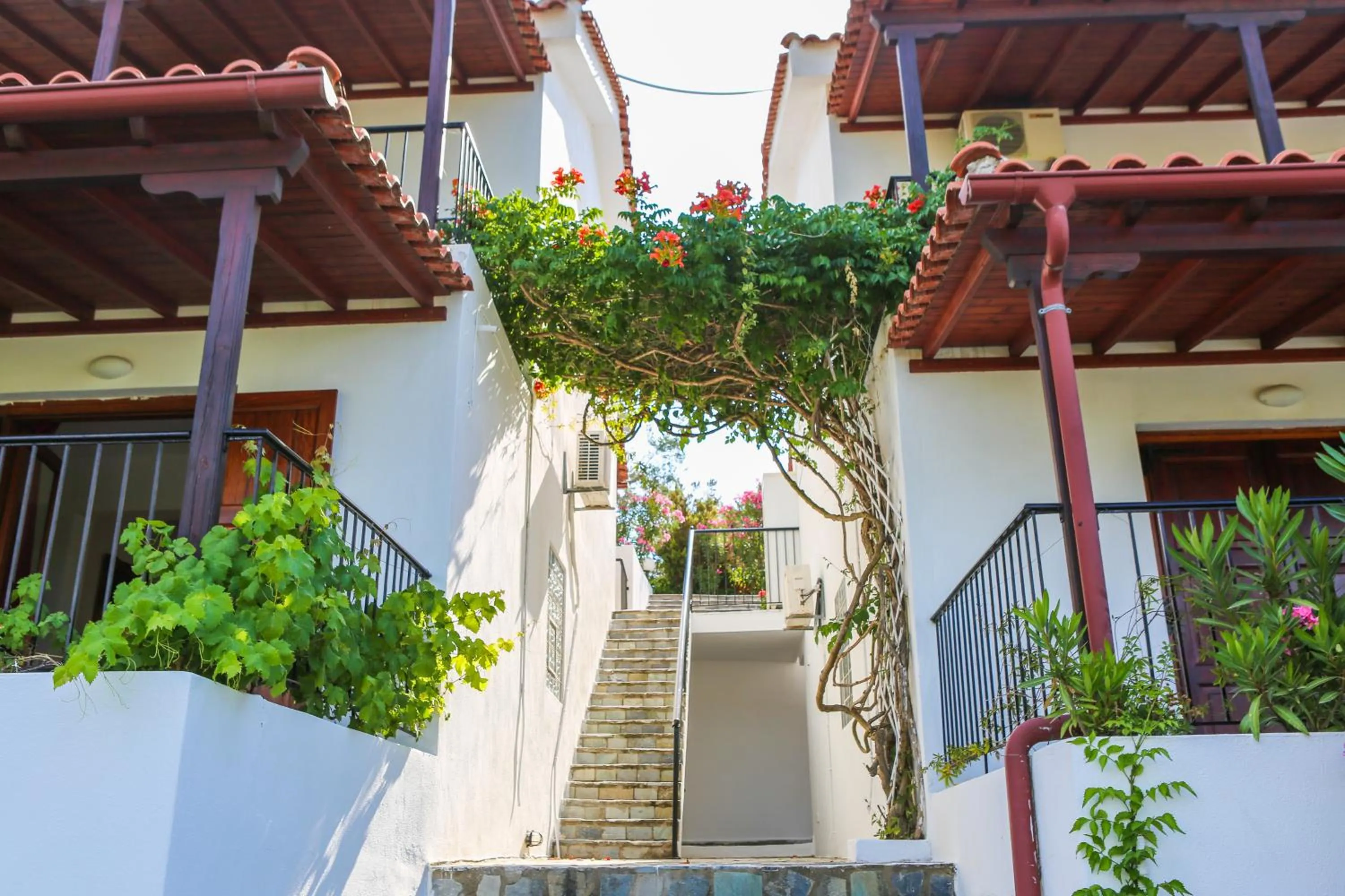 Patio in Angelina Studios