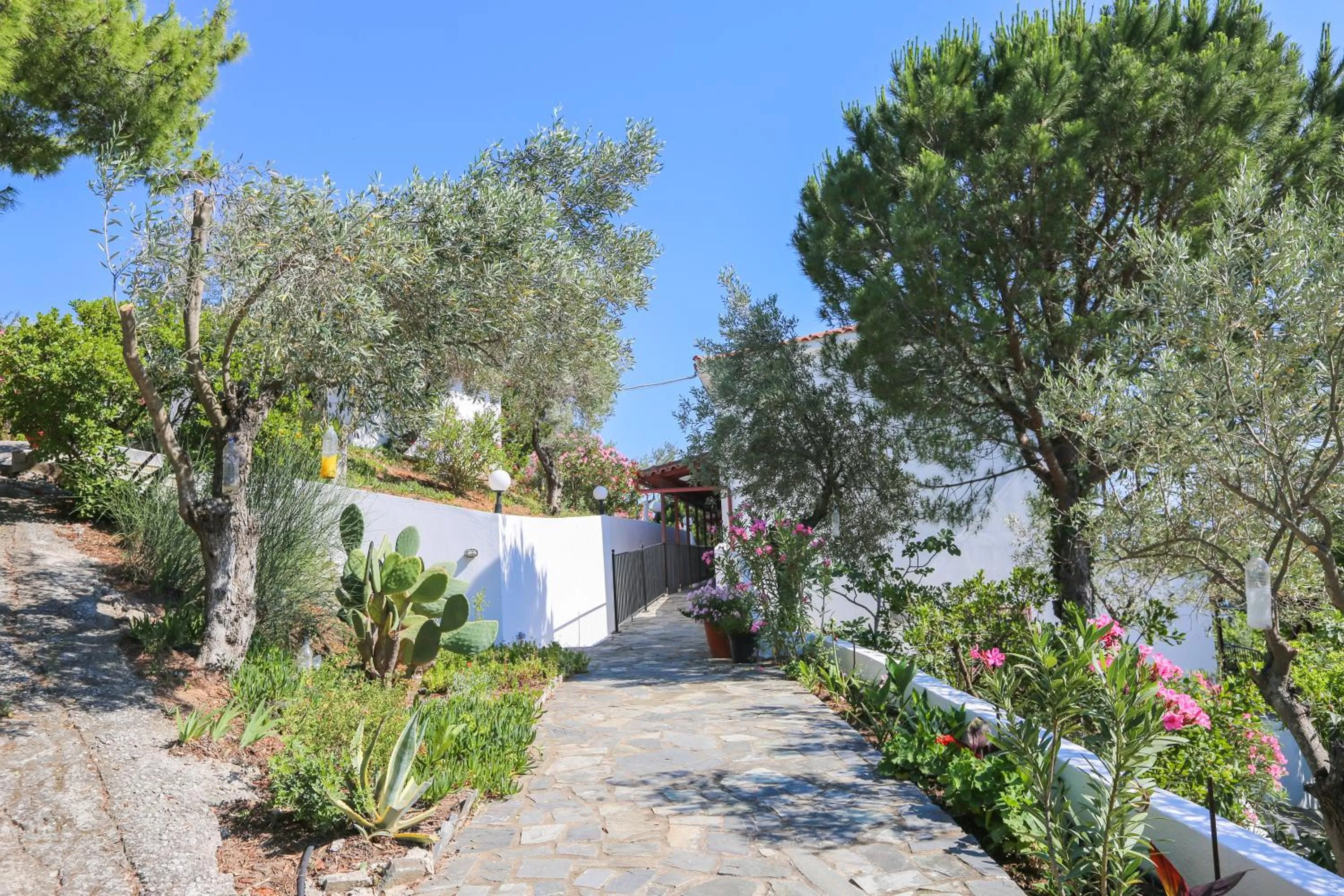 Property building in Angelina Studios