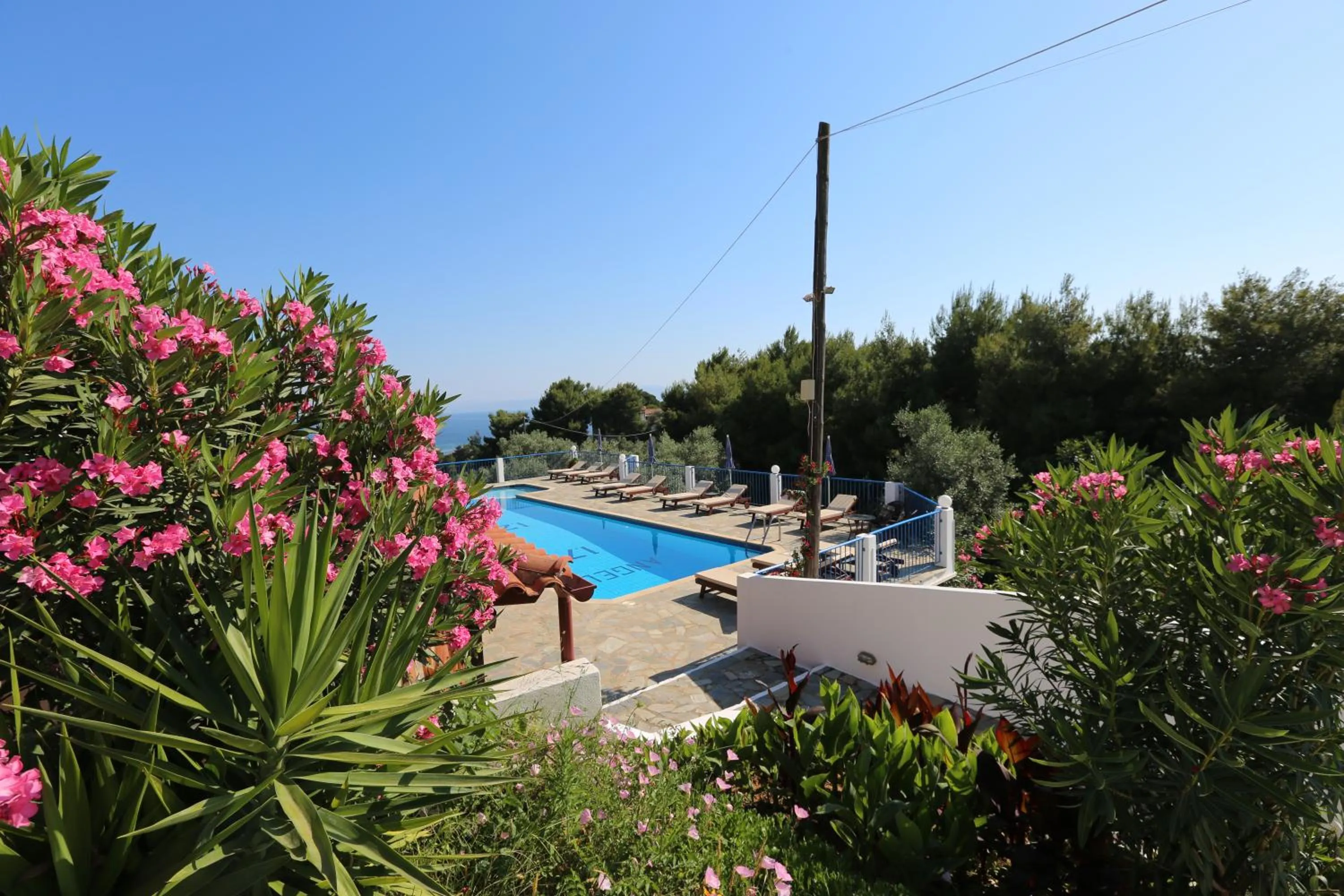 Pool view in Angelina Studios