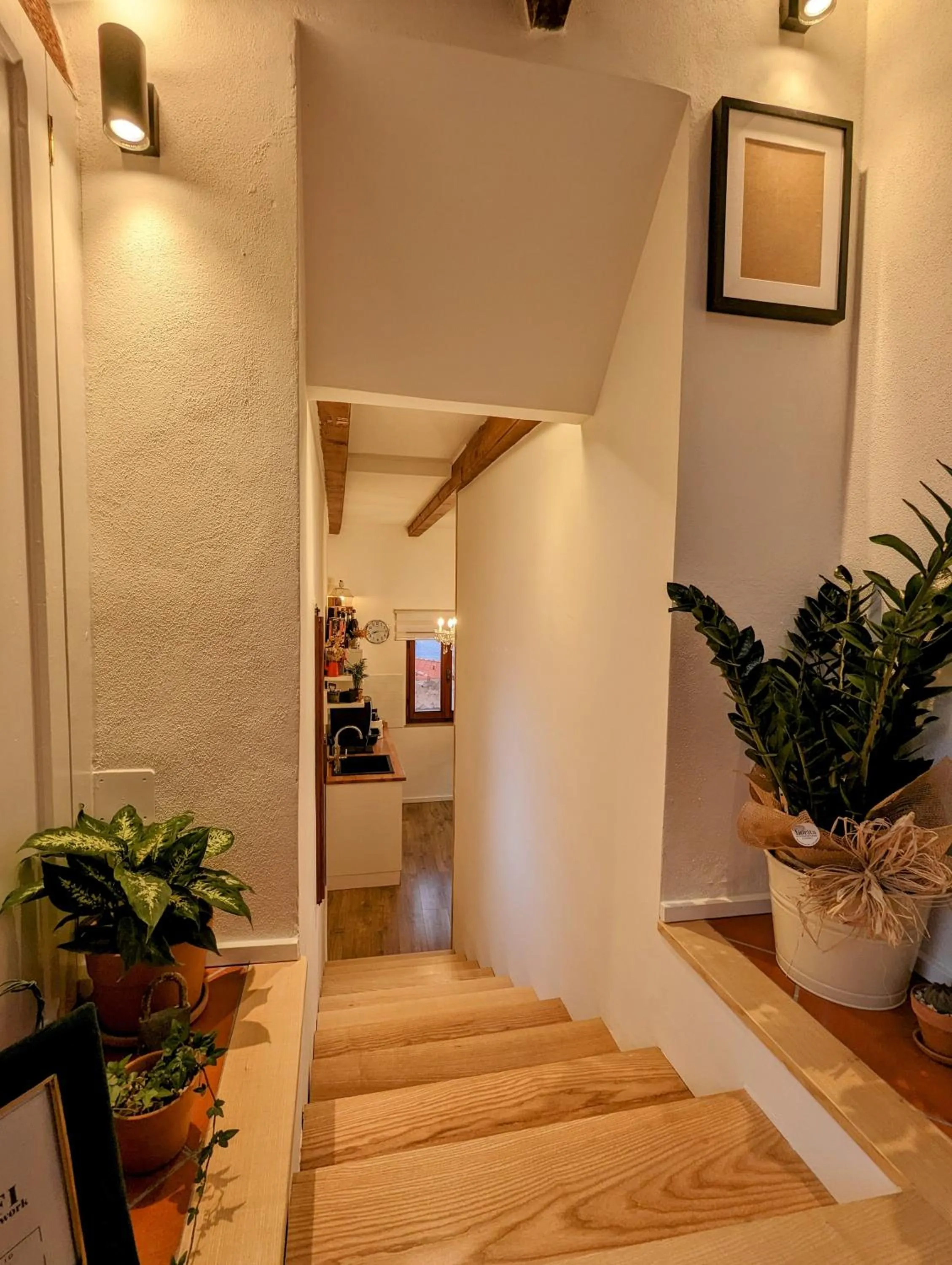 Panorama Guest House