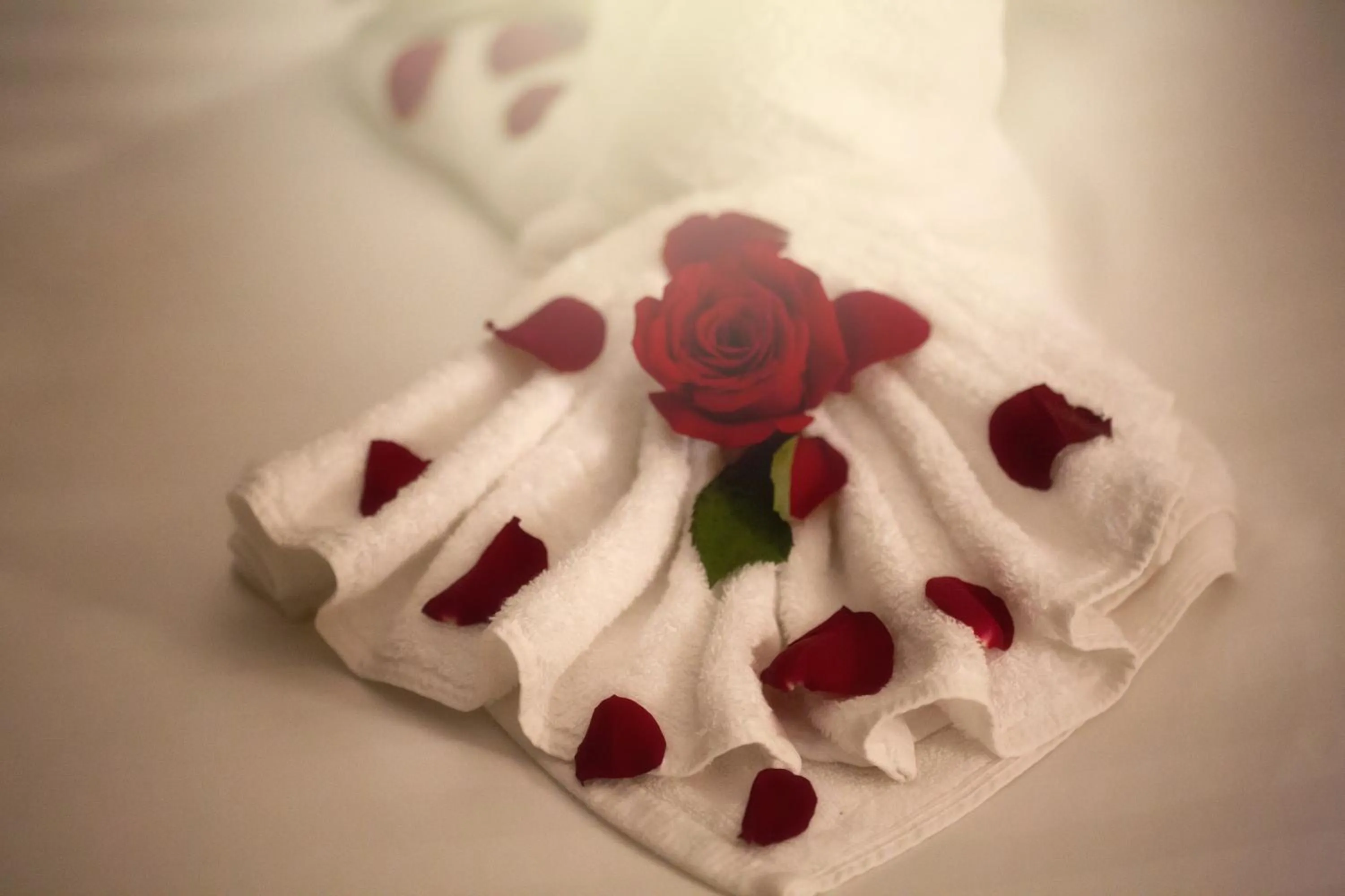 Al Safwah Orchid Hotel