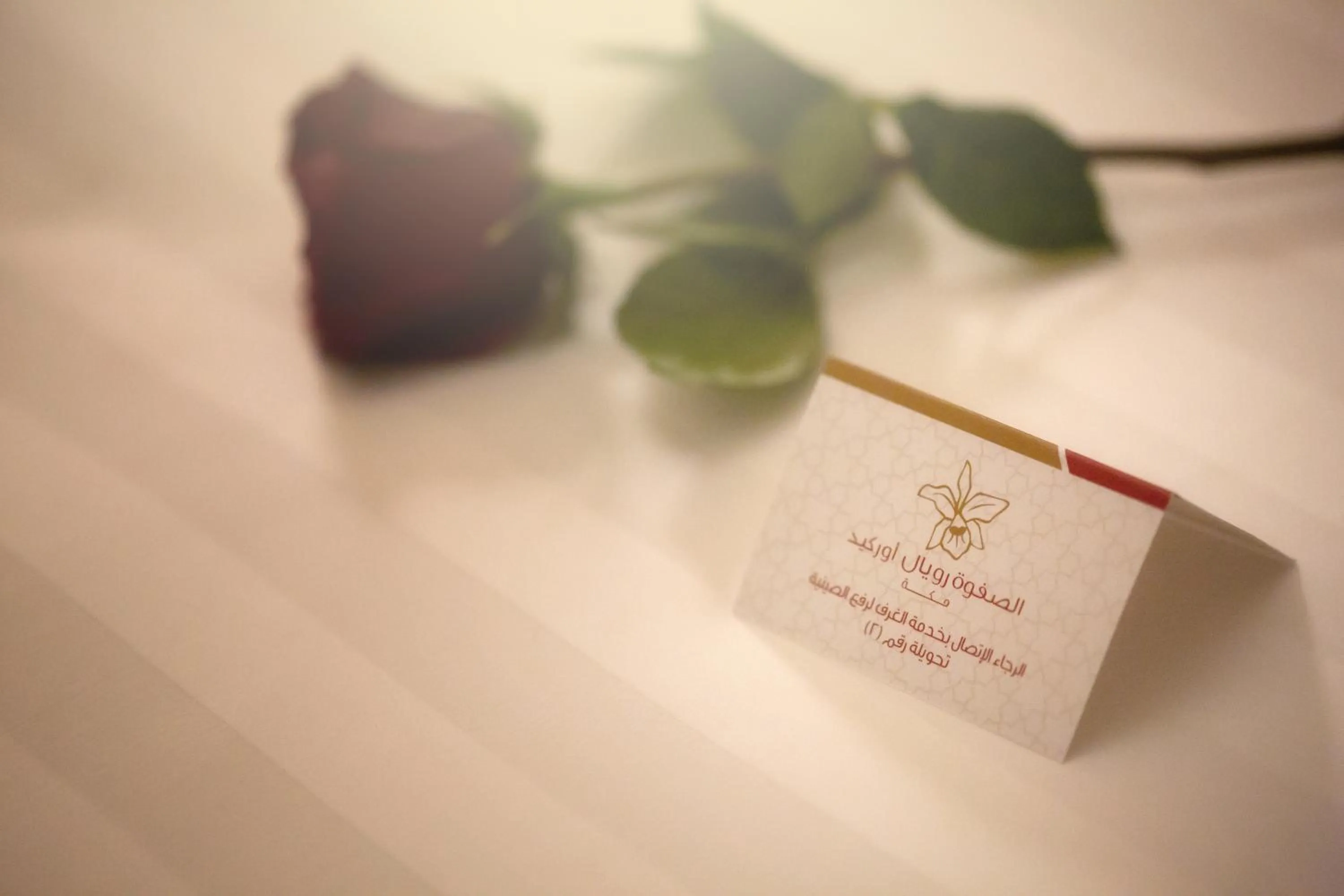 Al Safwah Orchid Hotel