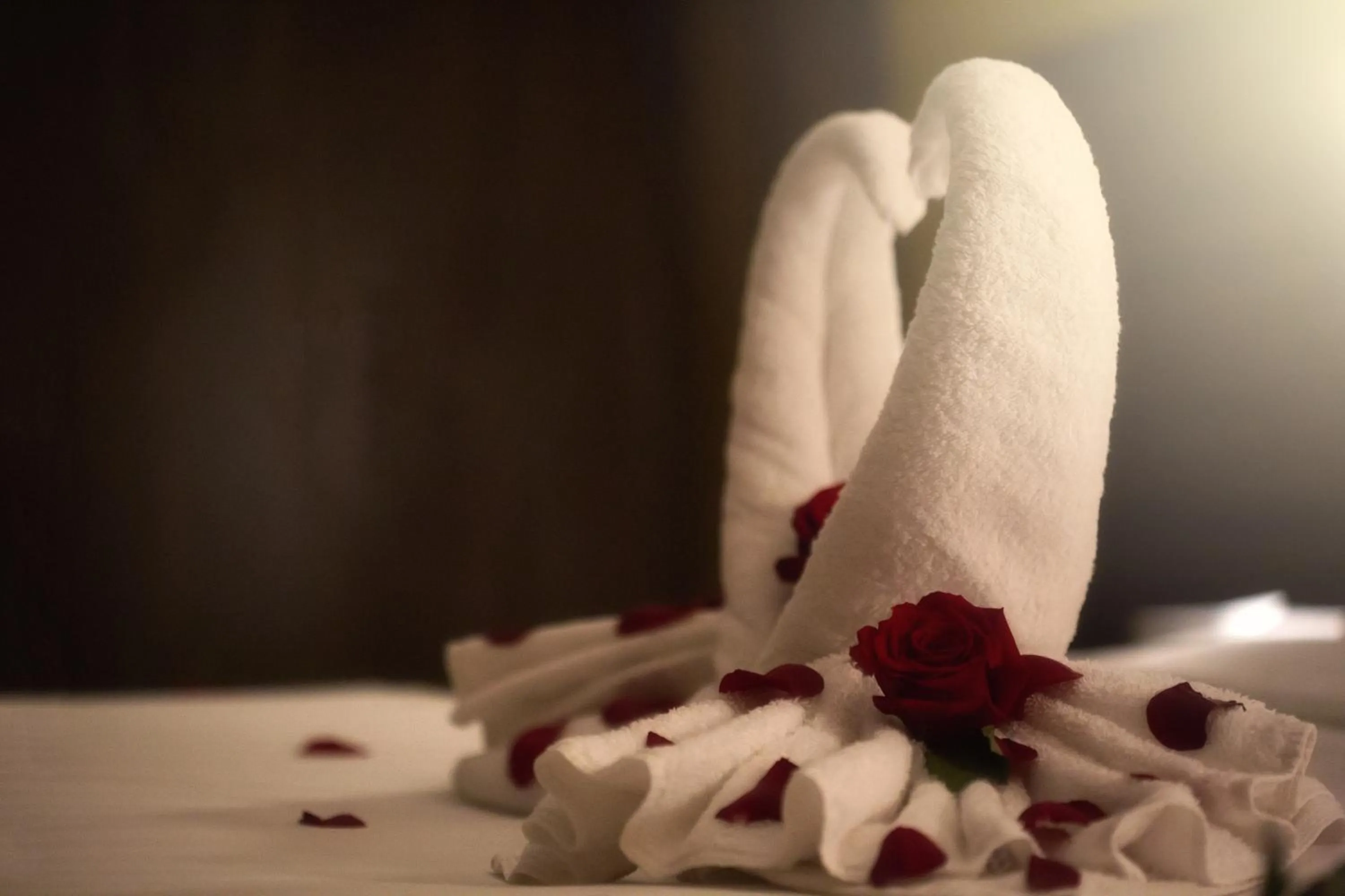 Al Safwah Orchid Hotel