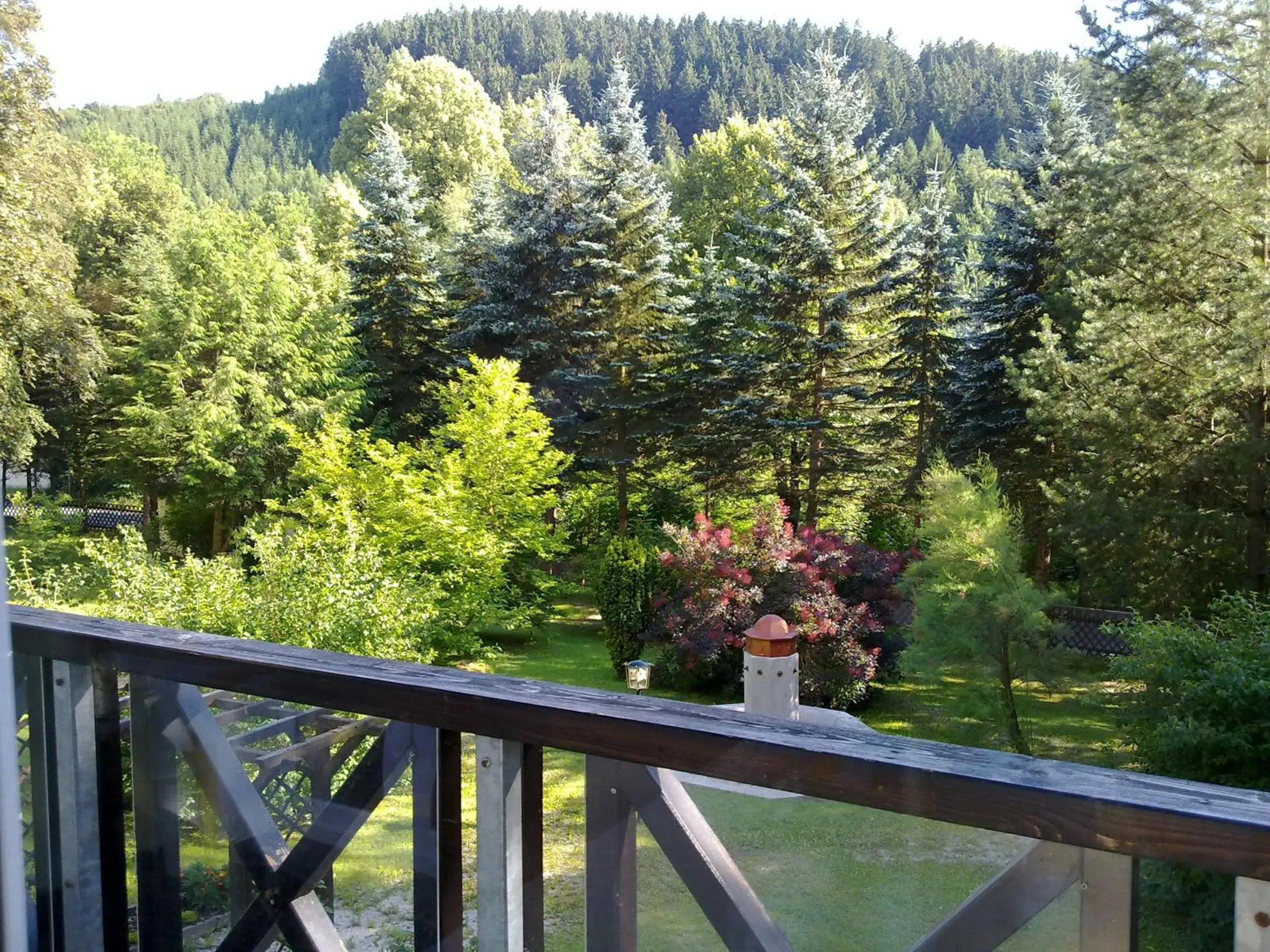 Double Room - single occupancy in Villa Wilisch Double Room - single occupancy in Villa Wilisch