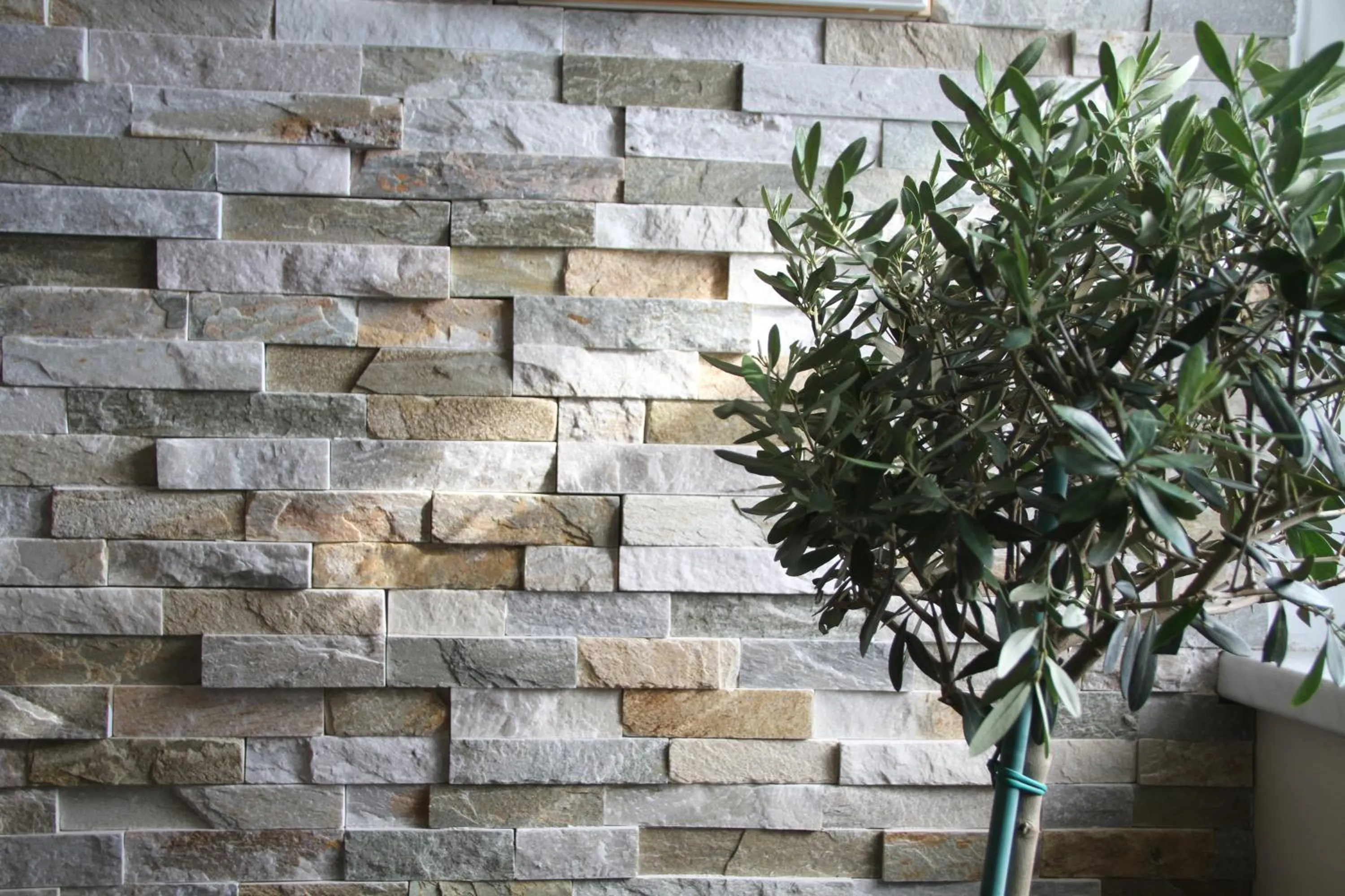 Other in Villa Wilisch