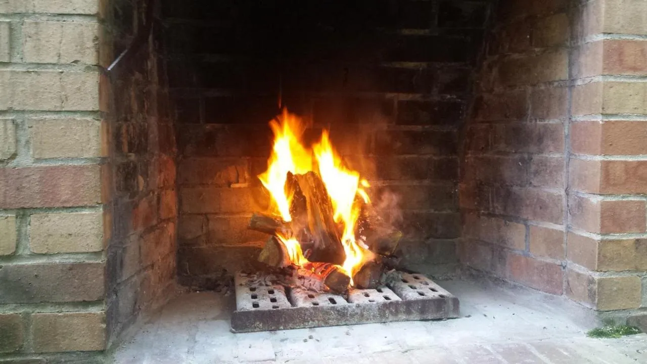 Garden in Villa Wilisch