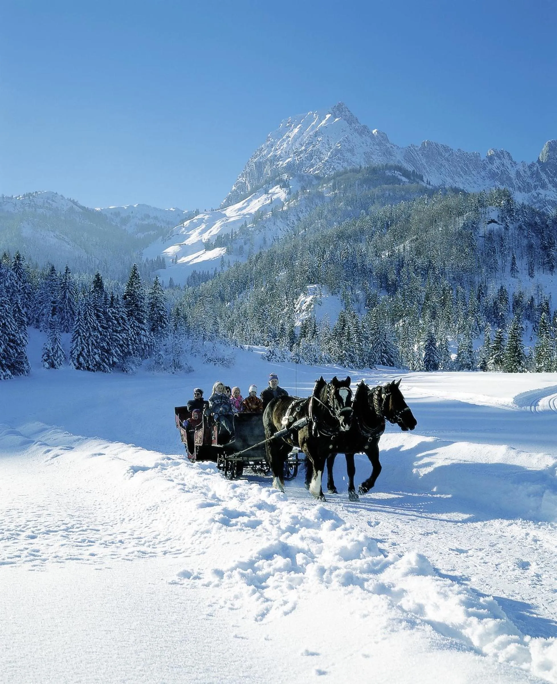 Area and facilities in Hotel Gut Kramerhof