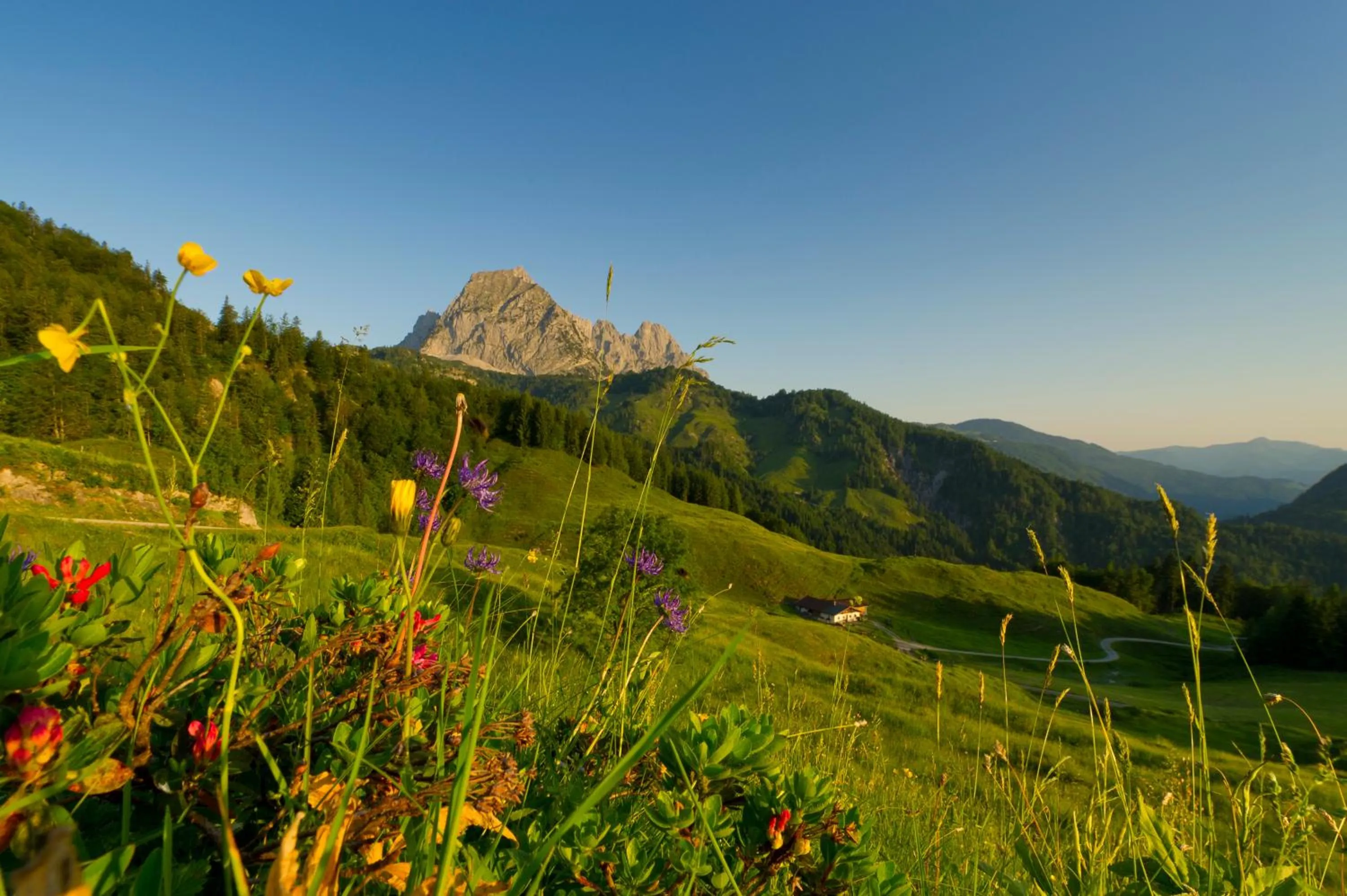 Spring in Hotel Gut Kramerhof