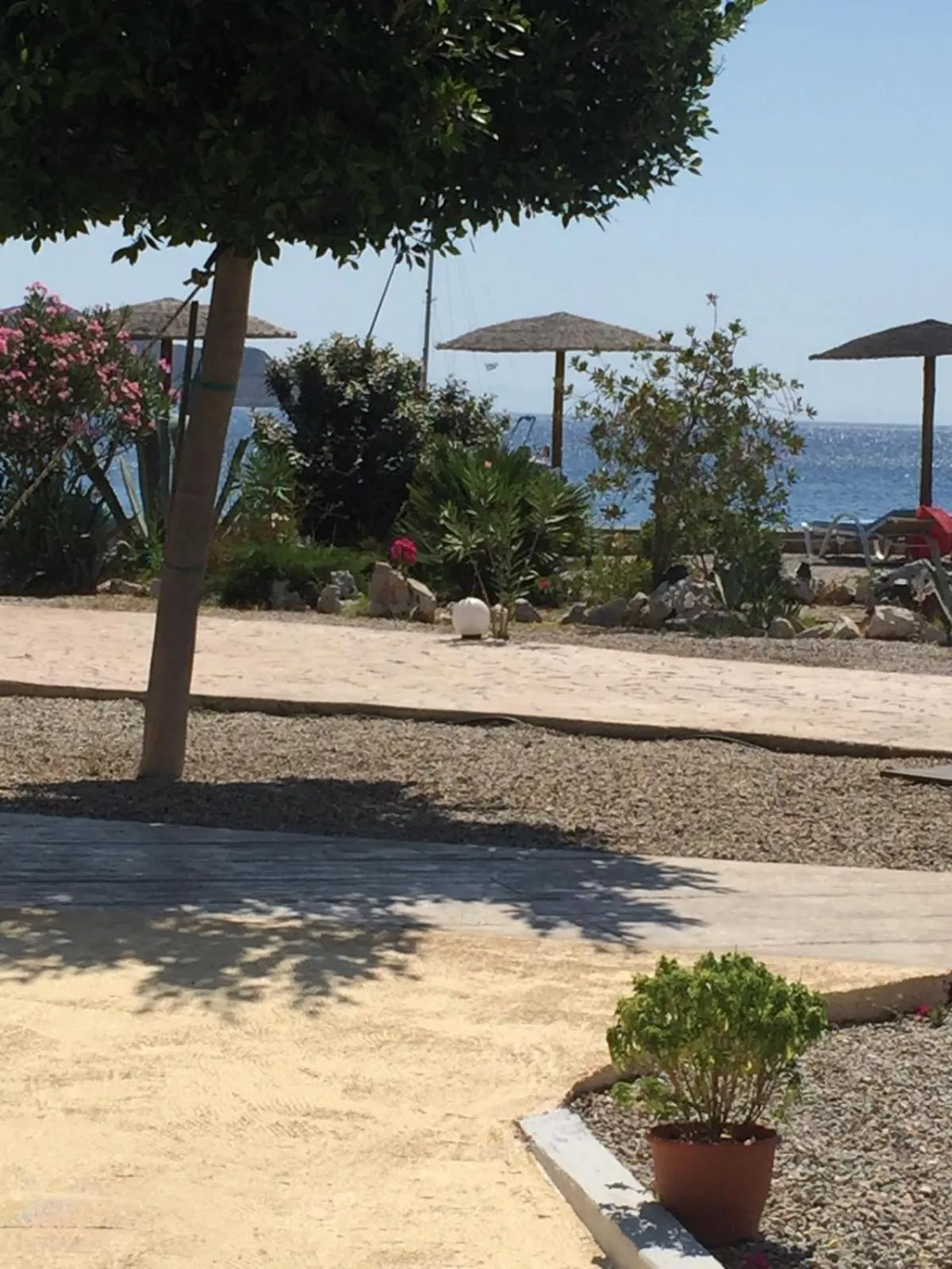 Garden view in Tony's Beach Hotel