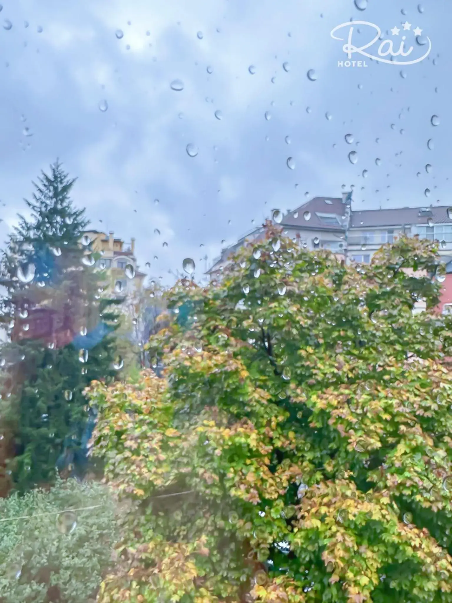 Double Business Room - 2 Single rooms with 1 Bathroom in Hotel Rai Double Business Room - 2 Single rooms with 1 Bathroom in Hotel Rai