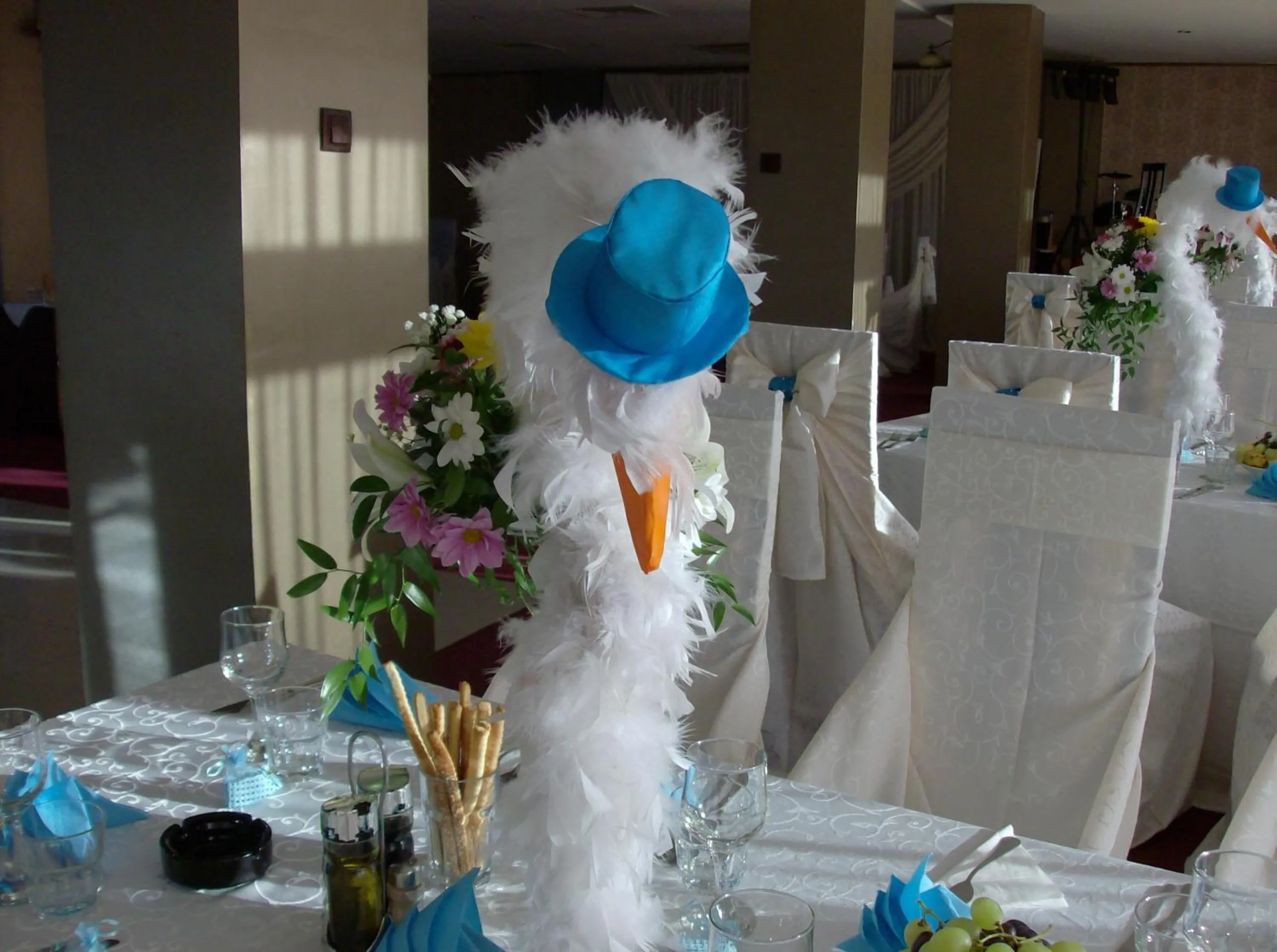 Activities in Hotel Condor