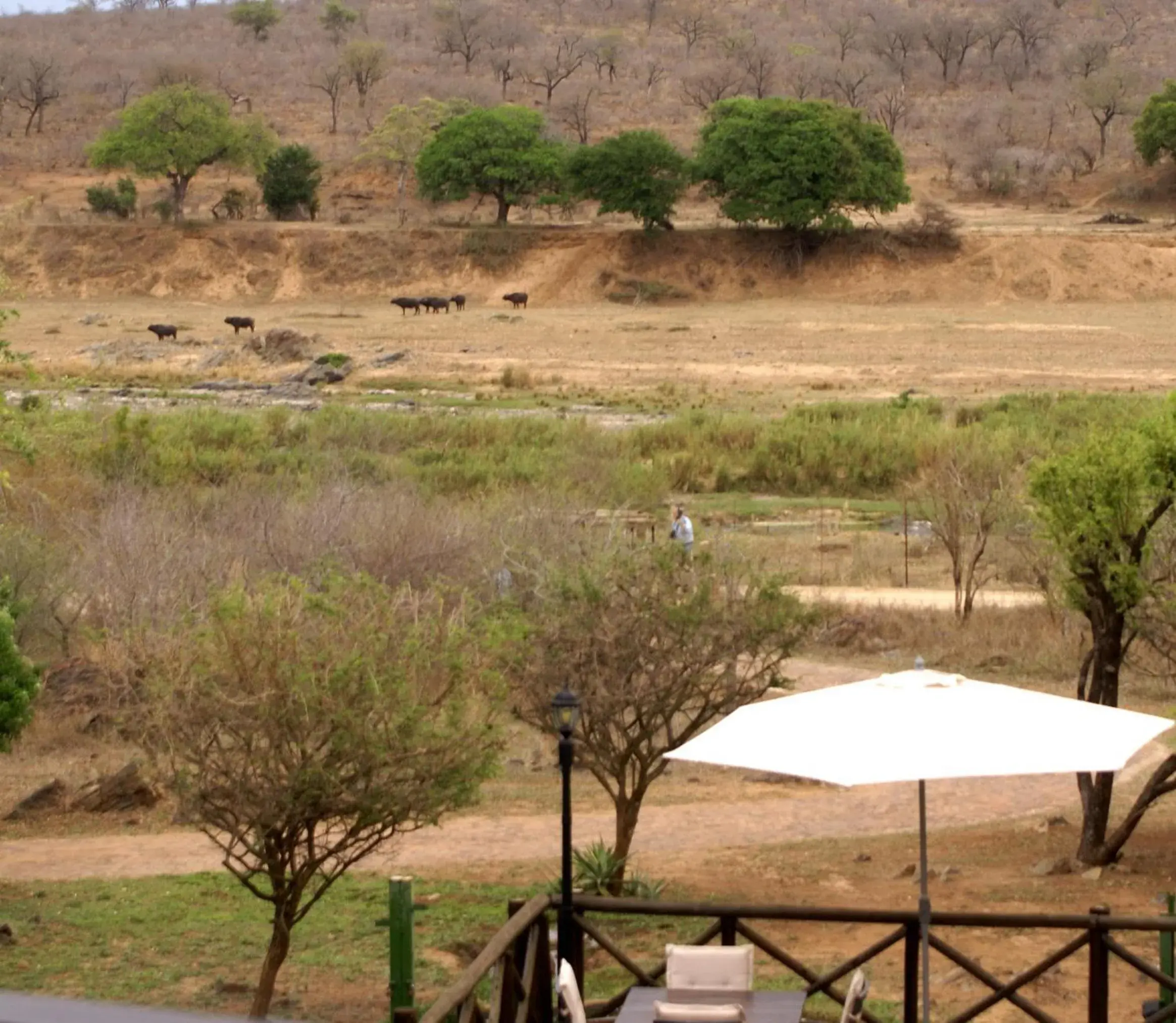 View (from property/room) in Crocodile Kruger Safari Lodge View (from property/room) in Crocodile Kruger Safari Lodge