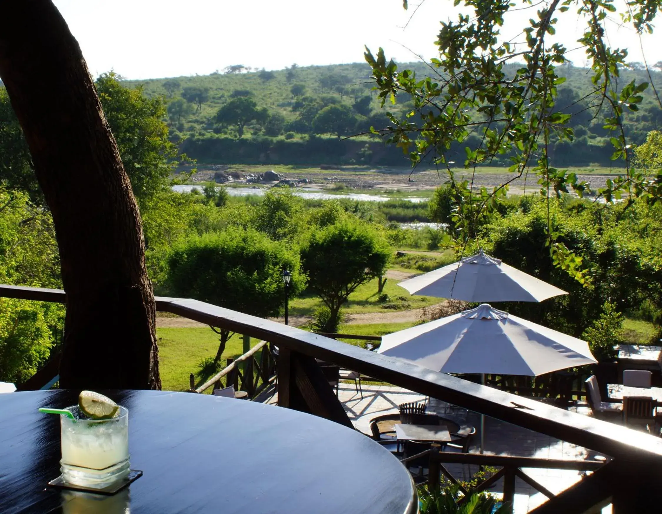 View (from property/room) in Crocodile Kruger Safari Lodge View (from property/room) in Crocodile Kruger Safari Lodge