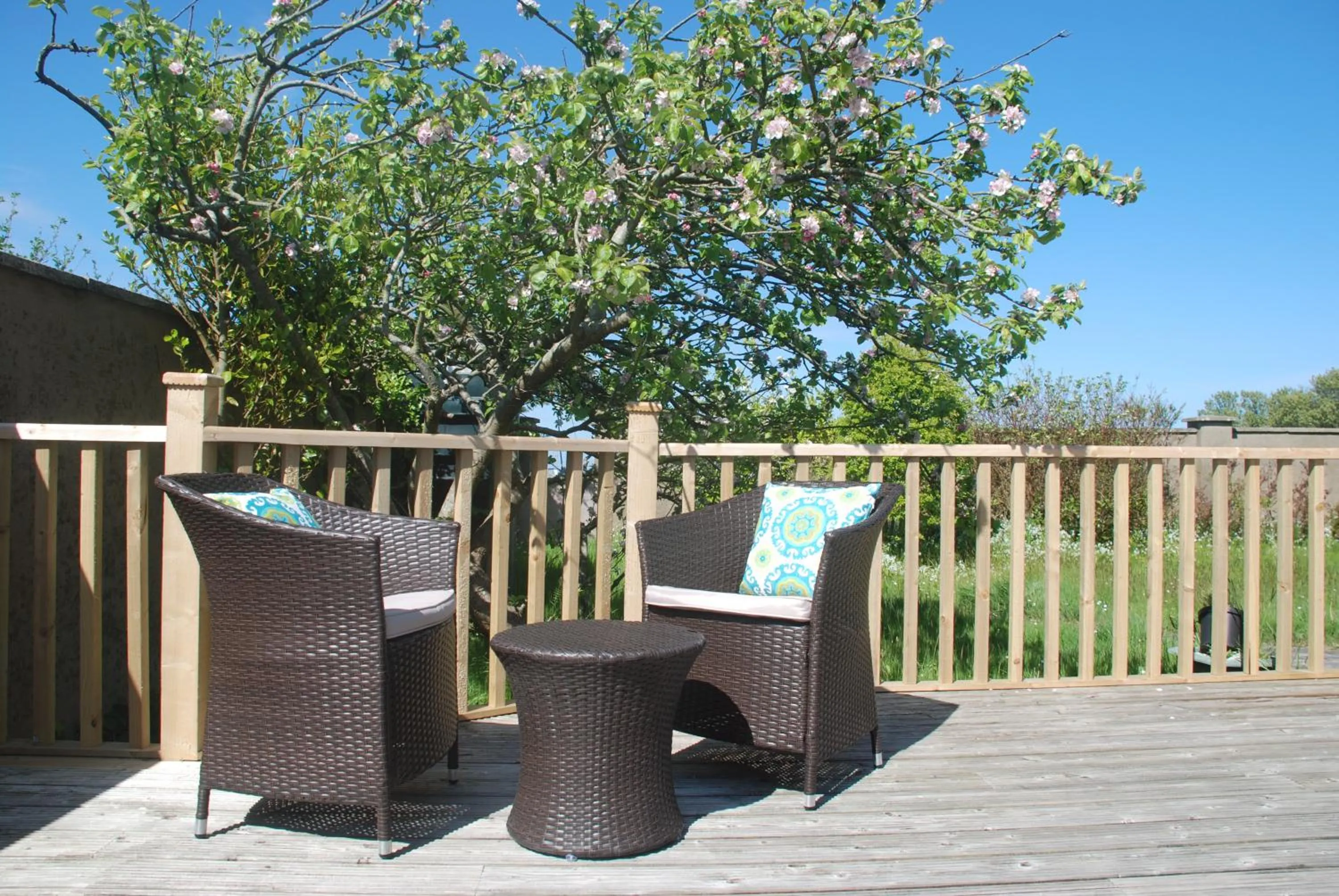 Balcony/Terrace in Tuskar House by the Sea