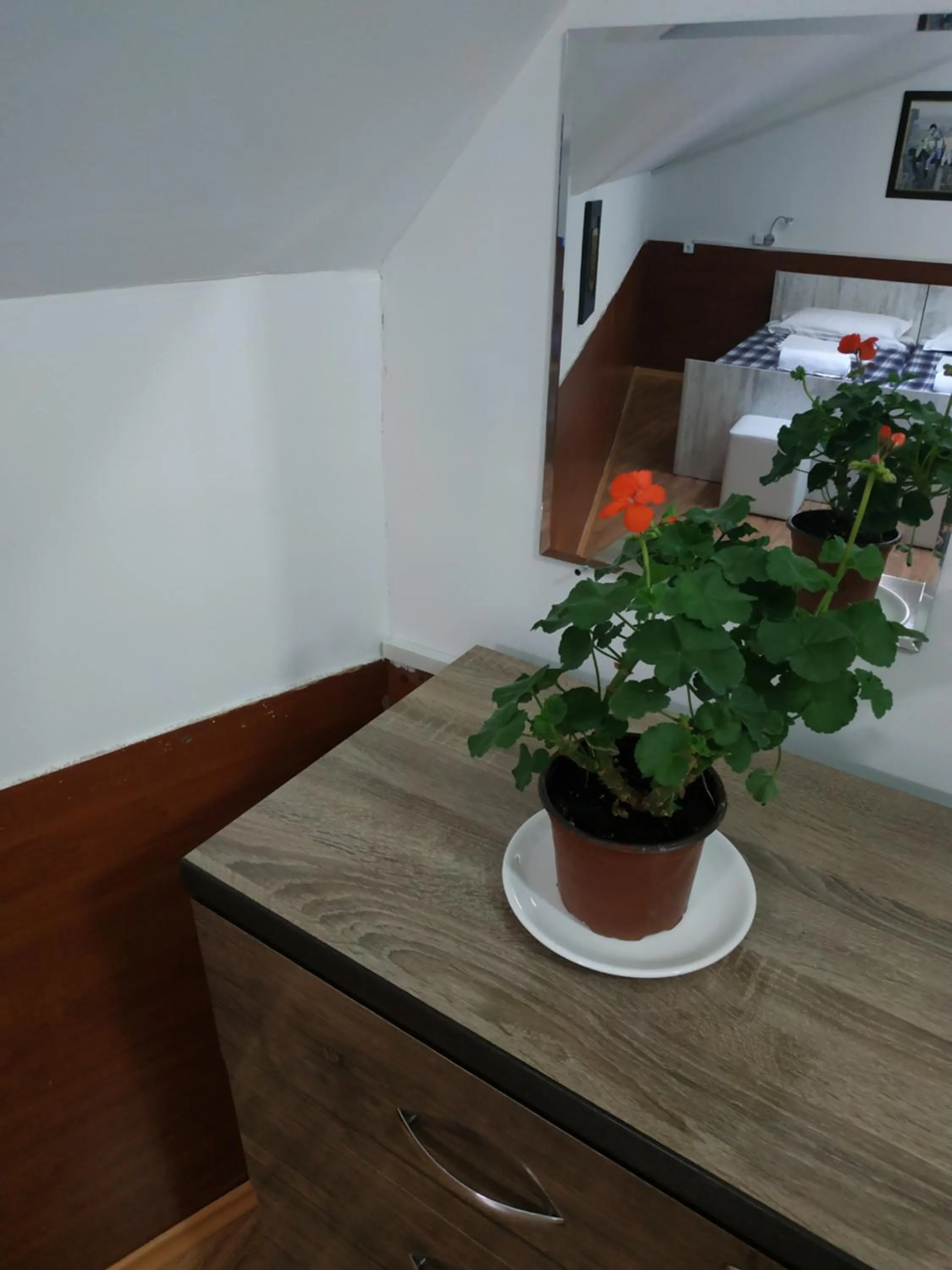 Dining area in Hostel Portal