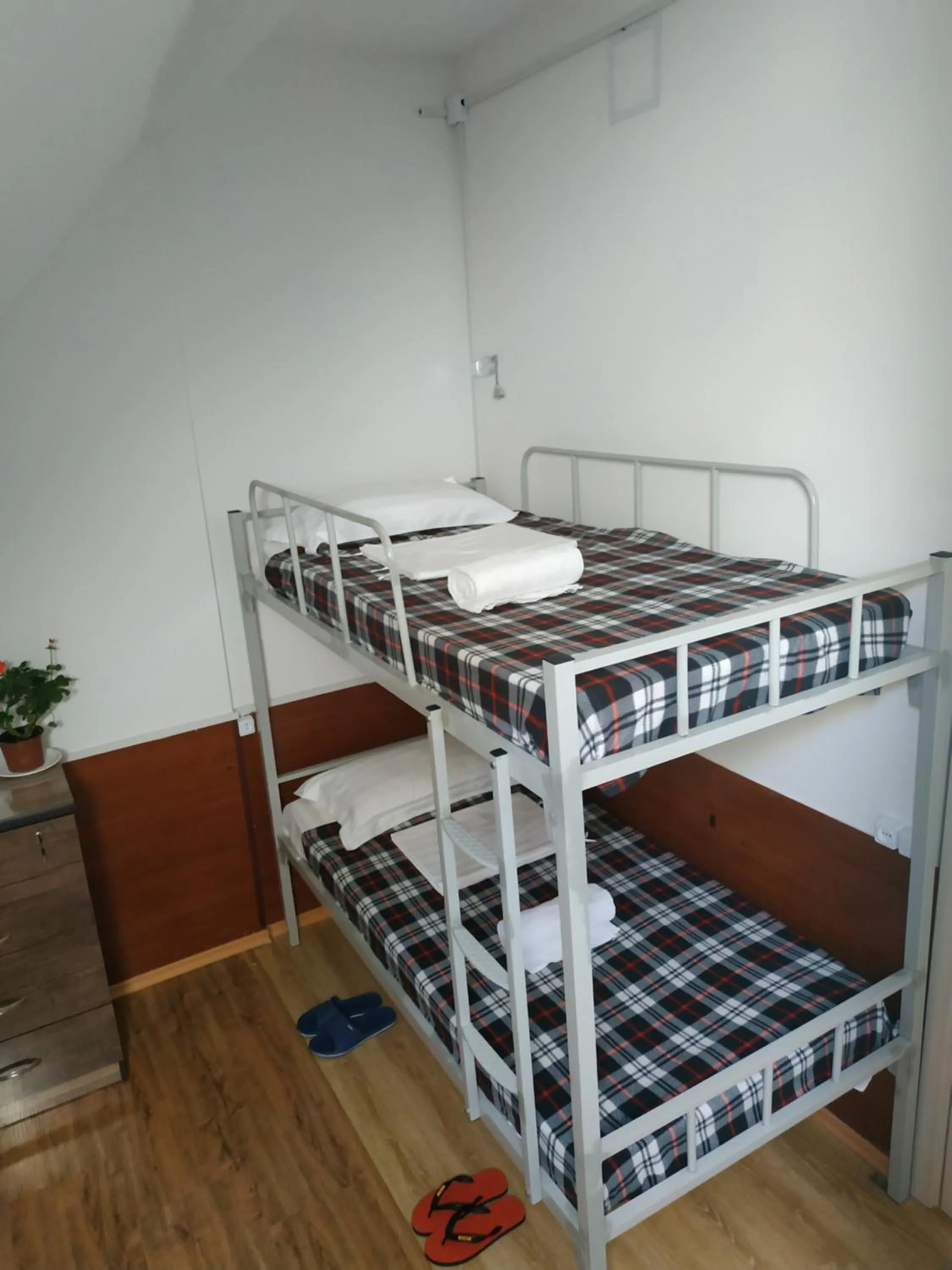 bunk bed, Bed in Hostel Portal