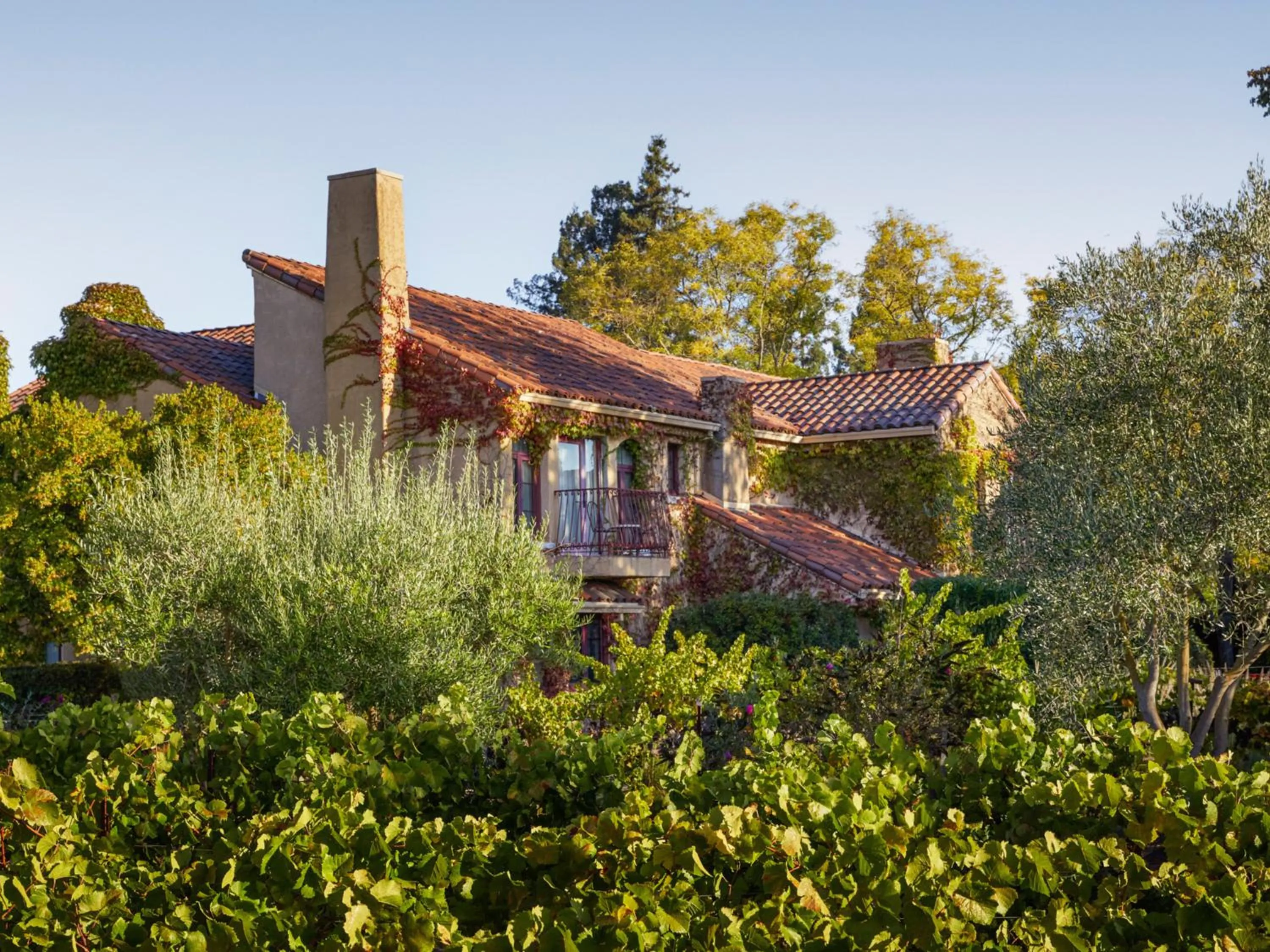 Balcony/Terrace in Vinarosa Resort & Spa