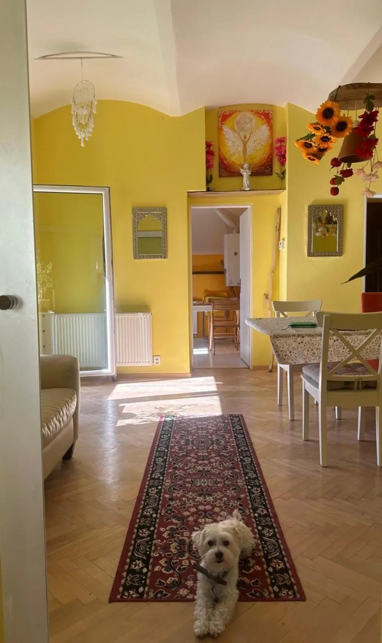 ARTHARMONY Pension & Hostel