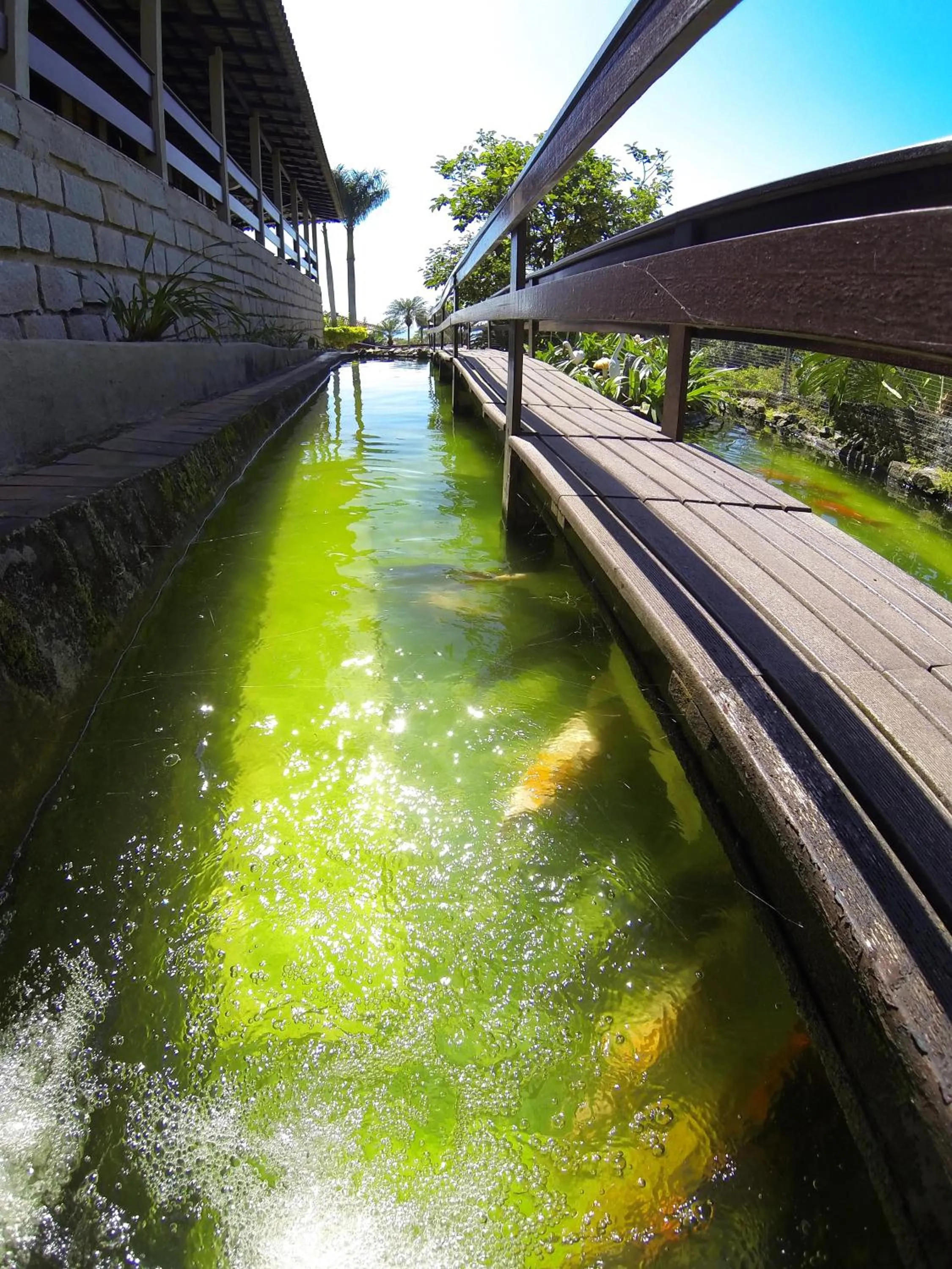 Lake view in Pousada Magnus
