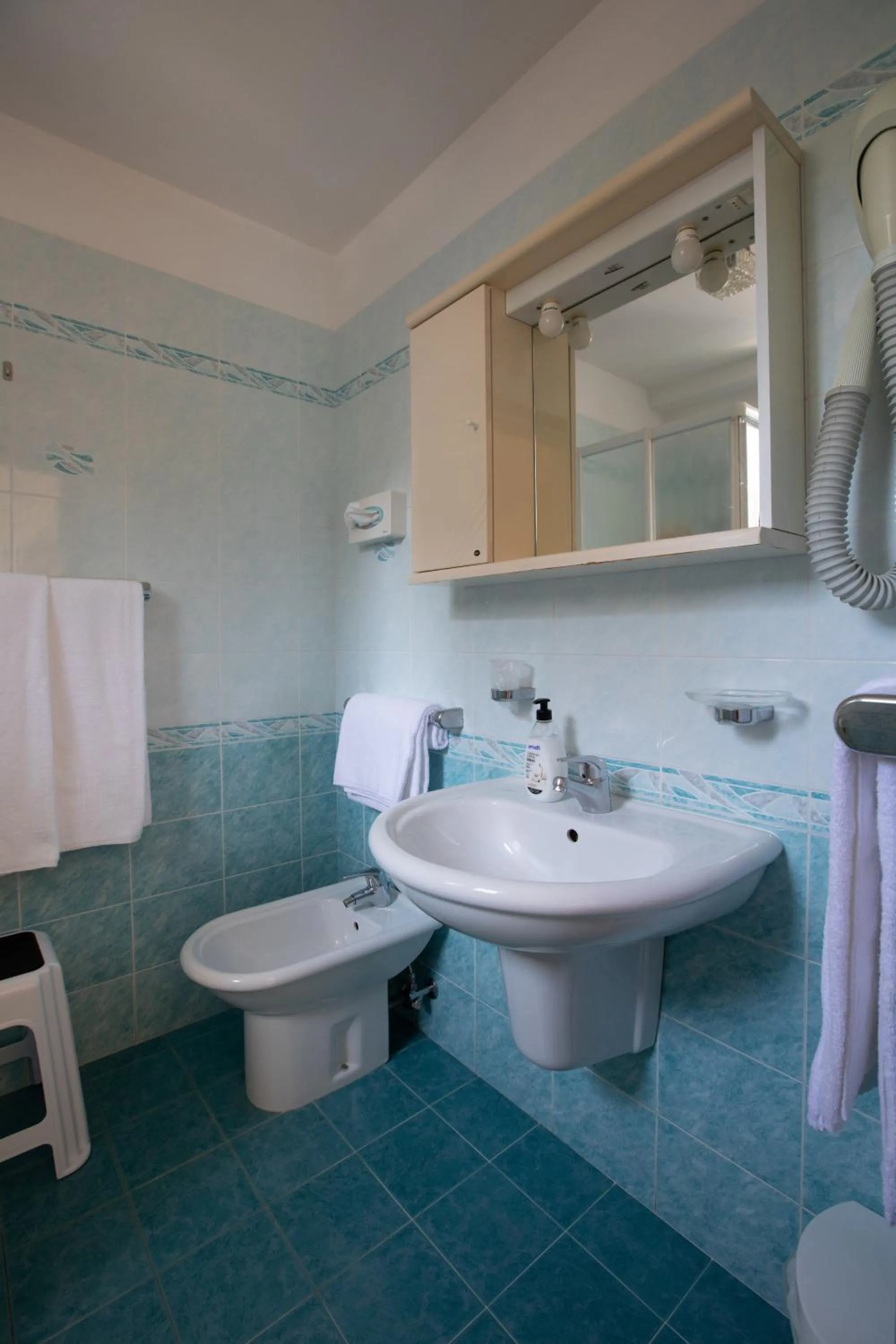 Toilet in Hotel Danieli