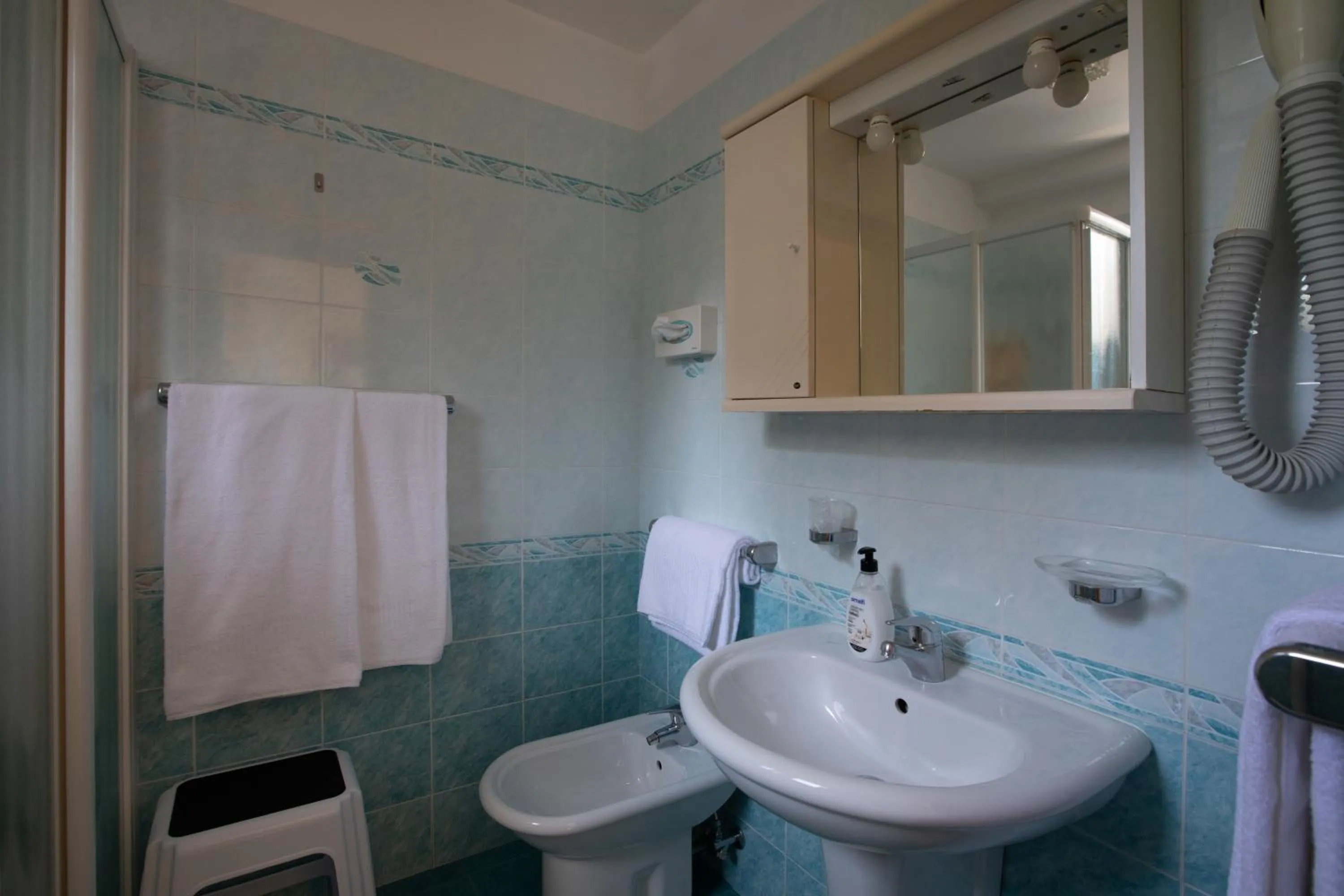 Toilet in Hotel Danieli