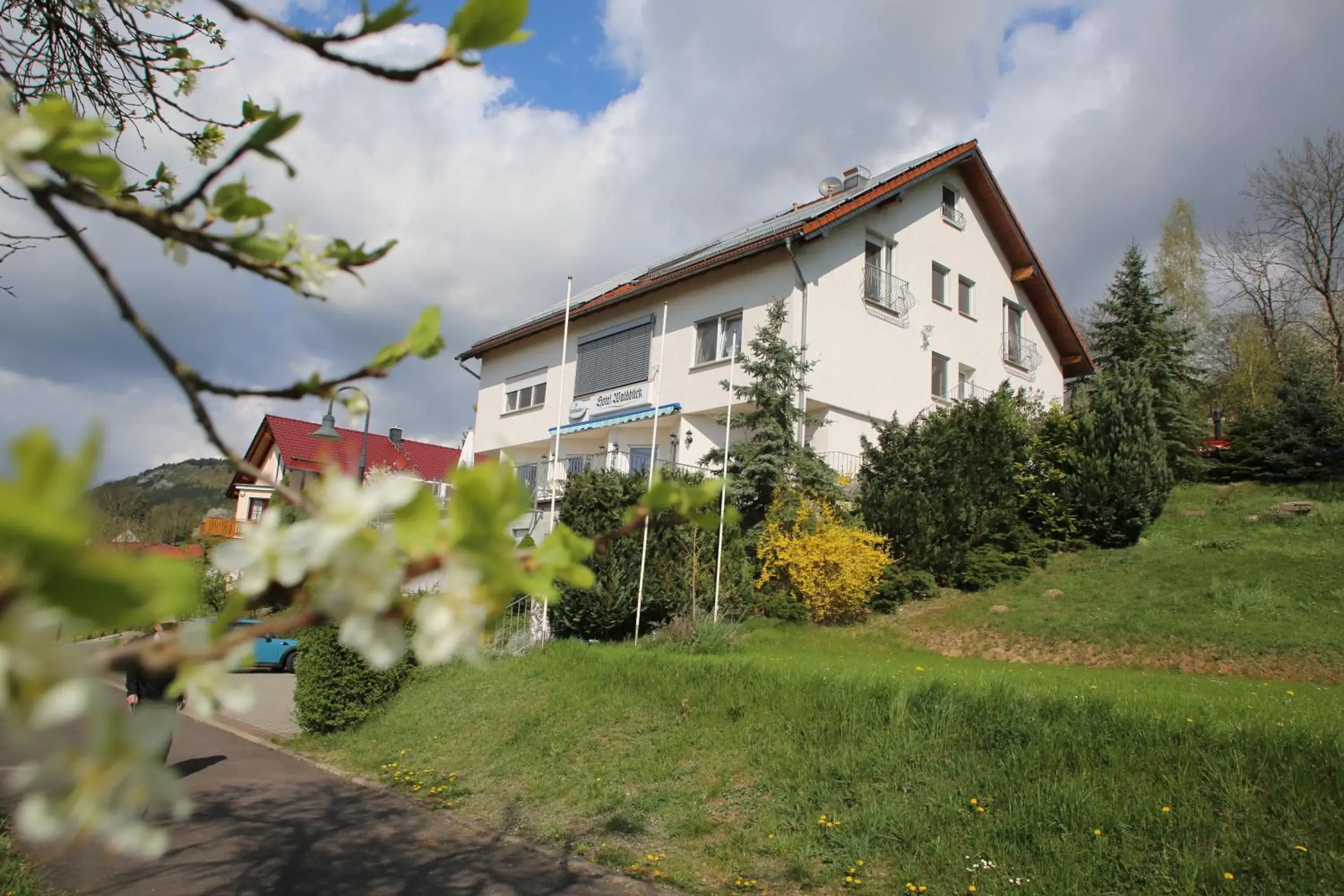 Hotel Waldblick Hotel Waldblick