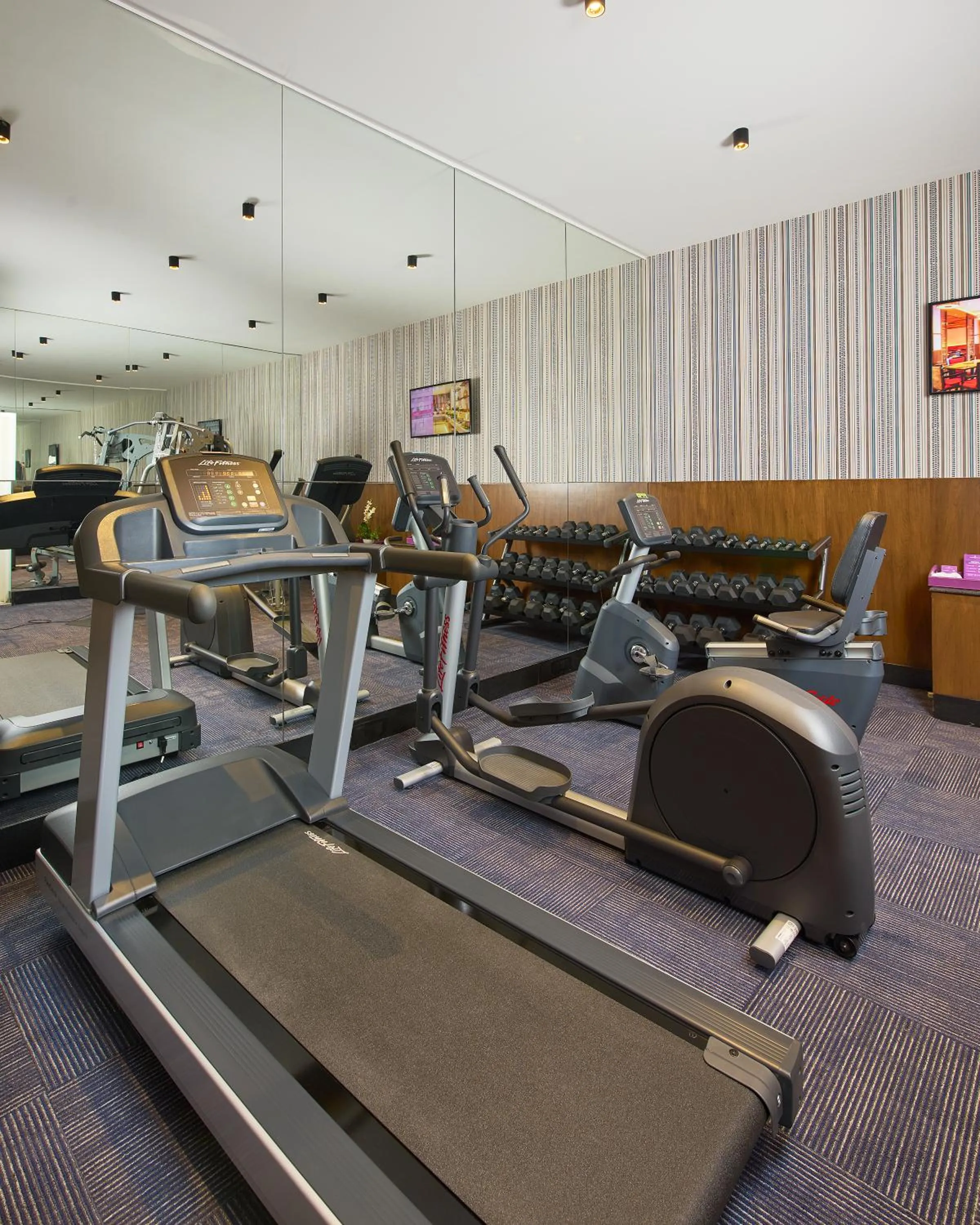 Fitness centre/facilities in Southern Star,Bangalore