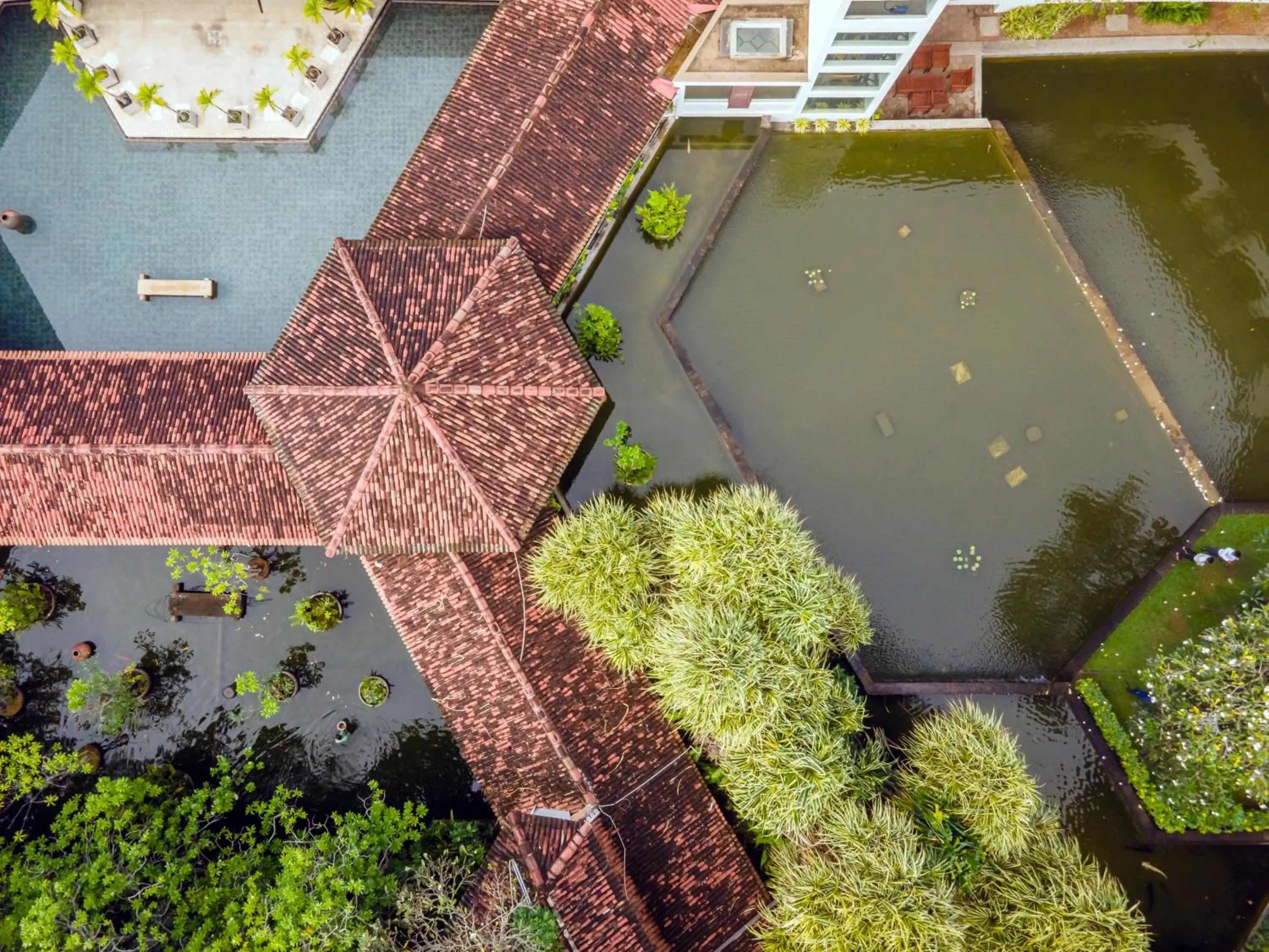 Natural landscape in Tangerine Beach Hotel