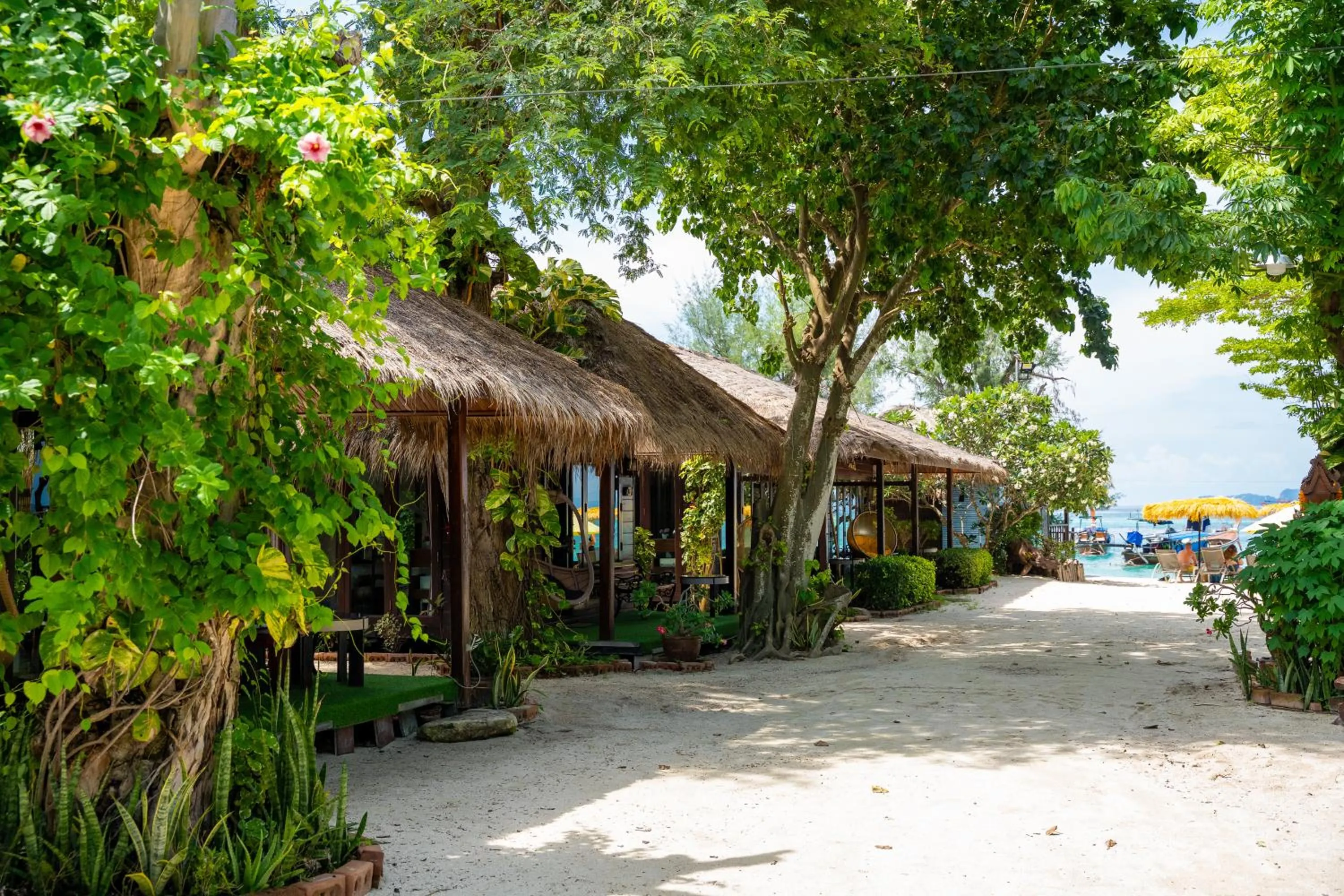 Garden in Anda Lipe Resort