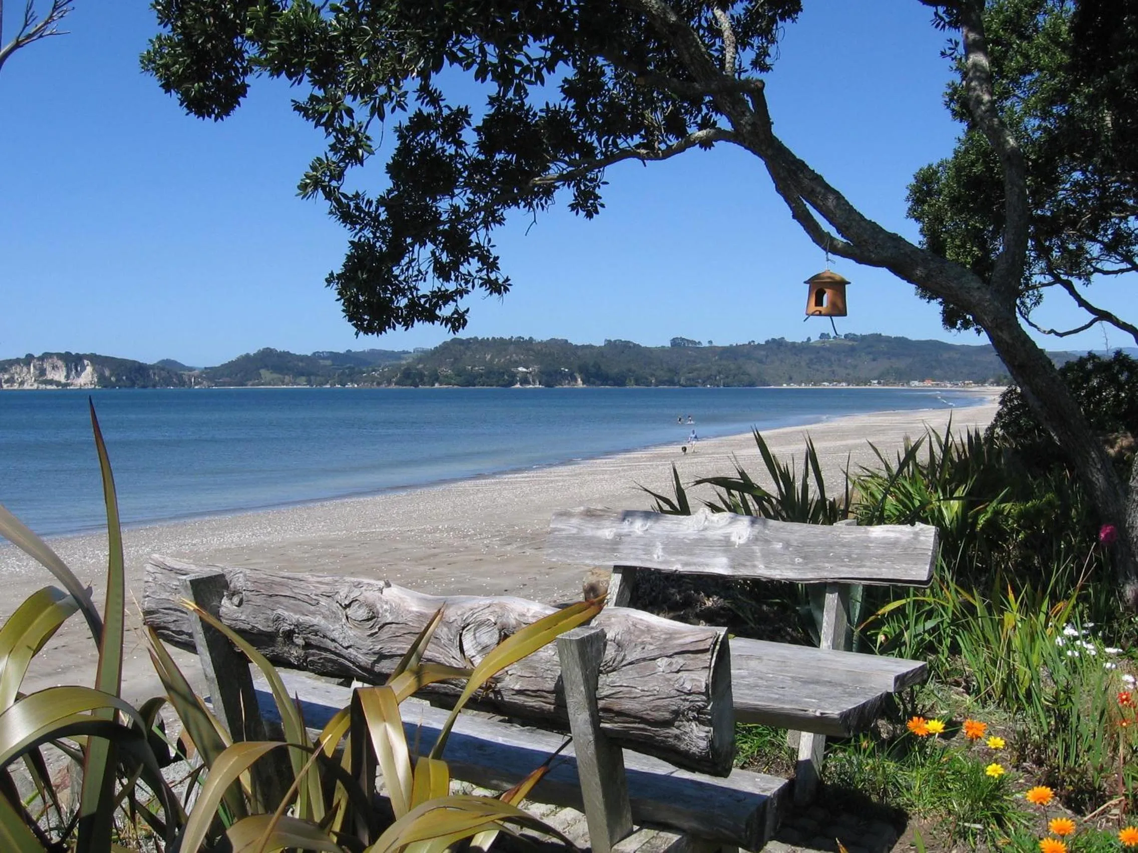 Day in Beachfront Resort