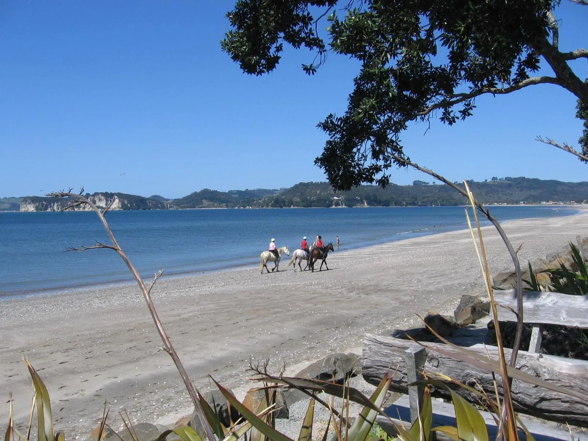 Day in Beachfront Resort