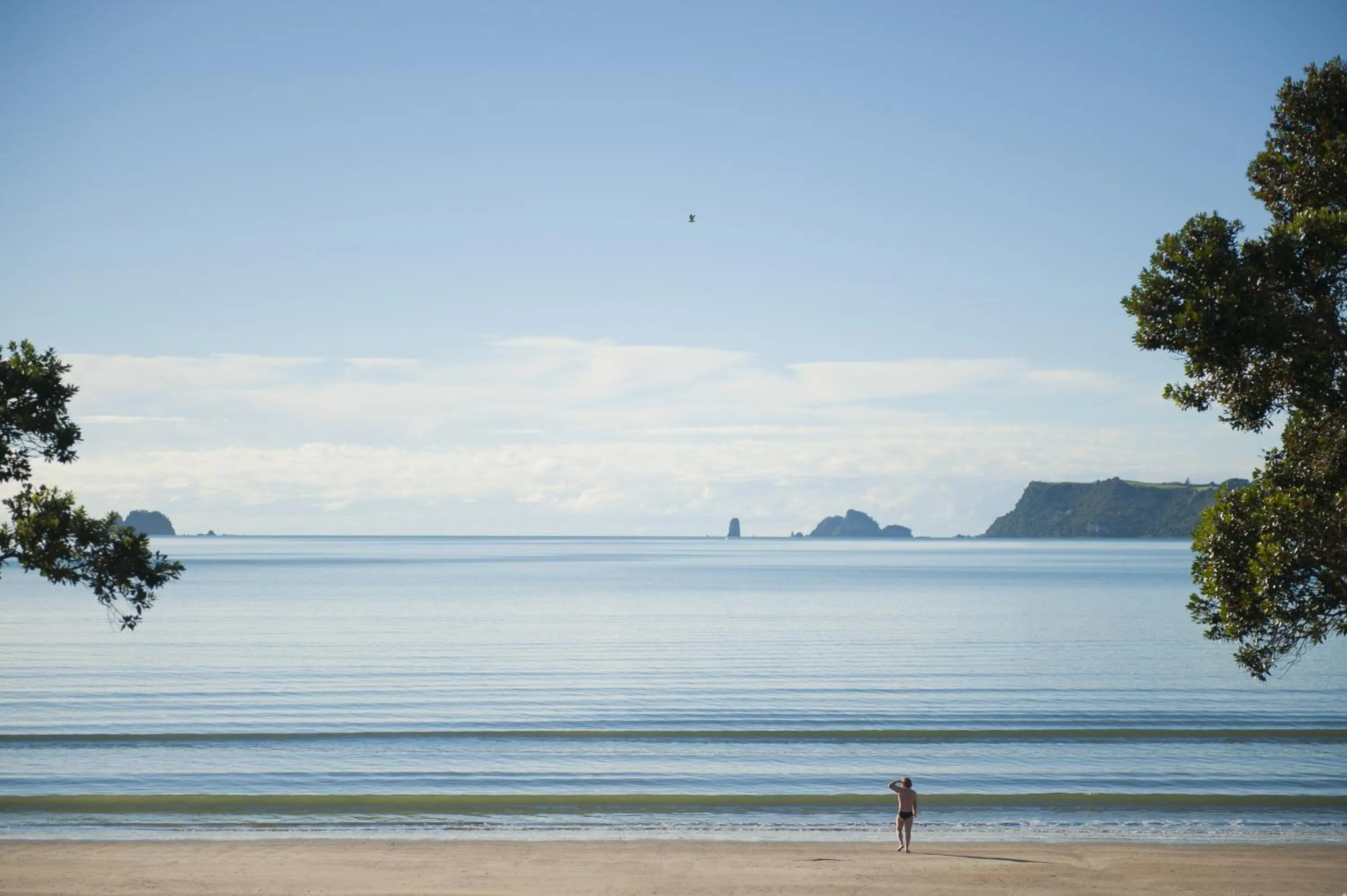 Day in Beachfront Resort
