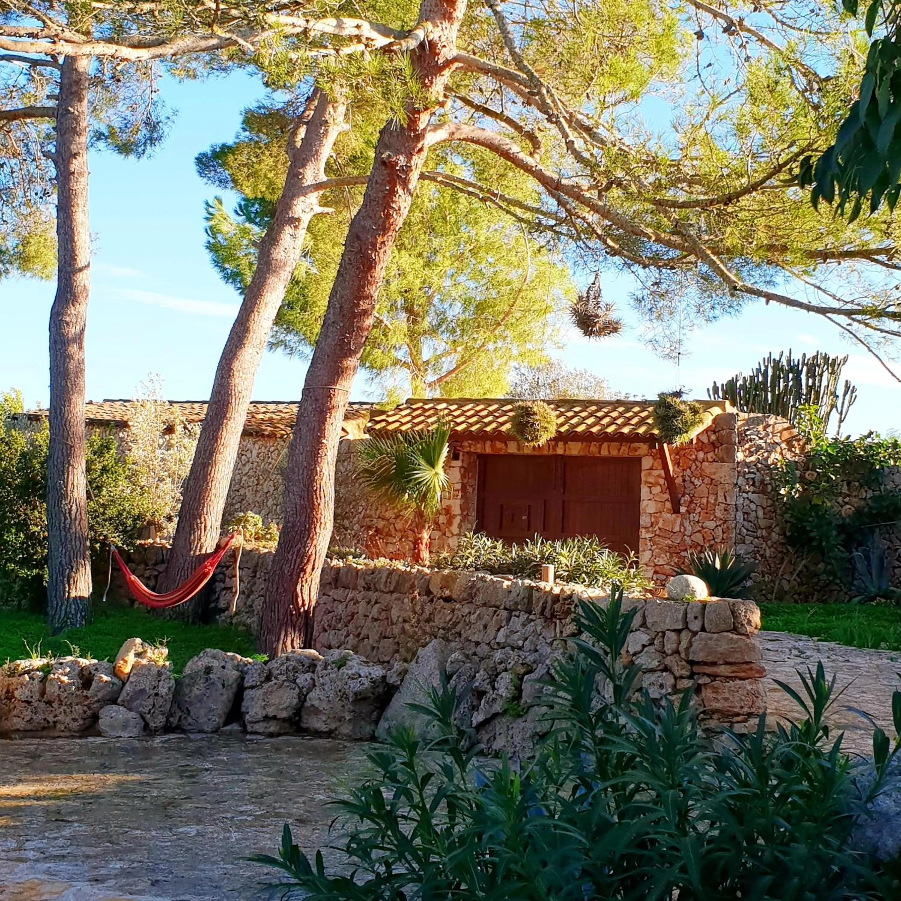 Garden in Las Fincas de Annie